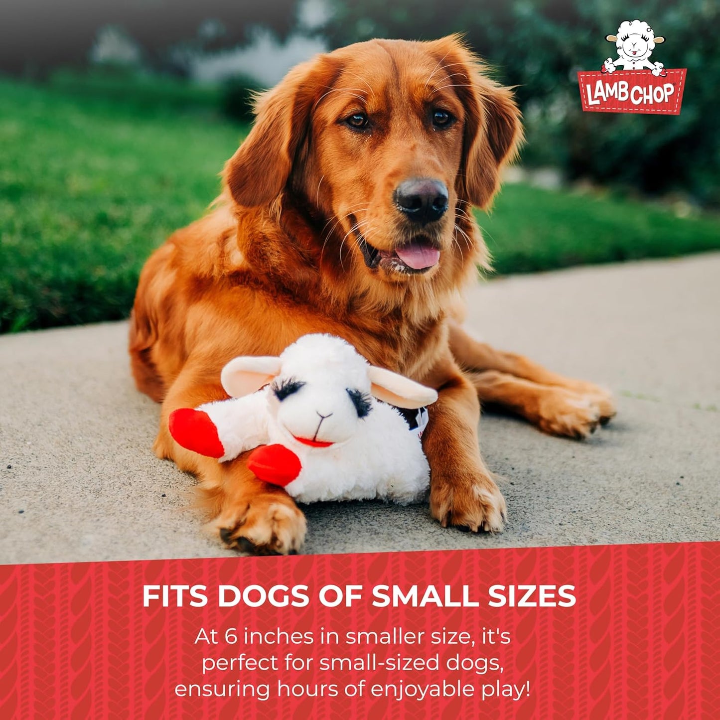 Lamb Chop Dog Plush Toy - Squeaky Toy for All Dogs - Extra Soft Plush - Stuffed Animal Dog Toy for Cuddling & Playing - Cute Pet Toy (6", Cream)