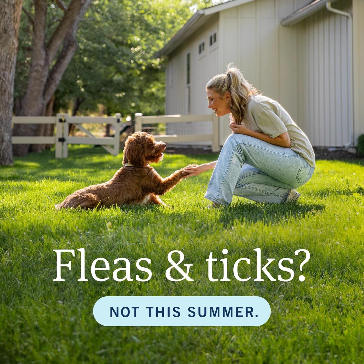 plus for Dogs Flea and Tick Prevention for Dogs, Long-Lasting & Fast-Acting Topical Dog Flea Treatment, 6 Count, Small