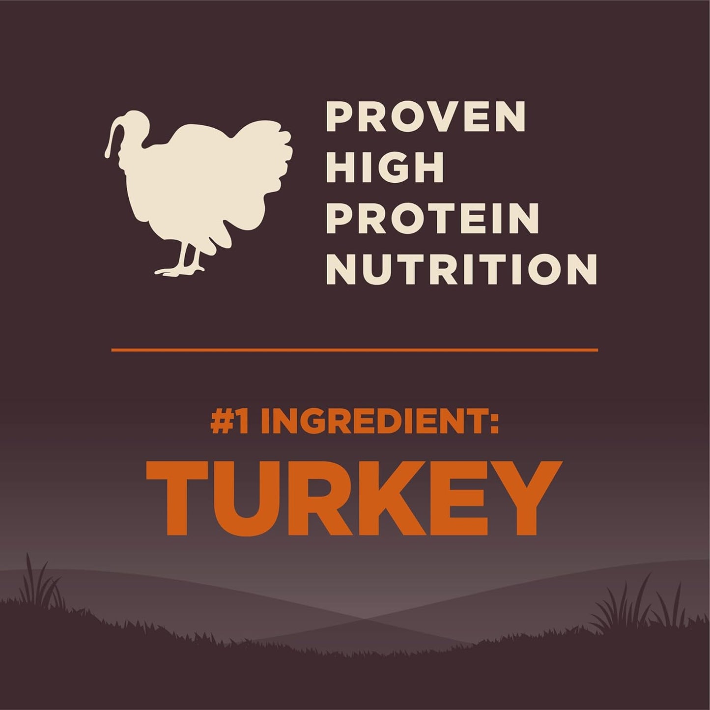 CORE Dry Dog Food, Small Breed, Grain-Free, High Protein, Natural, Original Turkey & Chicken Recipe, (12-Pound Bag)