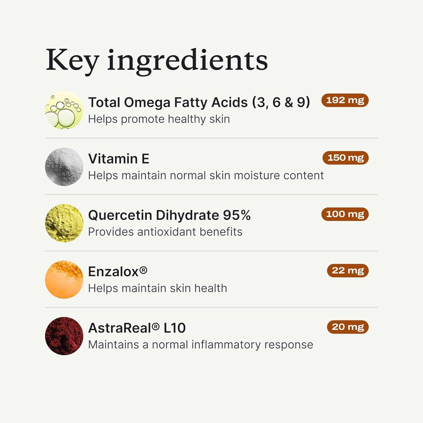 Itch Relief Chew Pro – Itch Relief Chews for Dogs – Omega 3 for Dogs Itch Supplement - Packed with Beneficial Fatty Acids for Healthy Skin – Seasonal Allergies Support - Packaging May Vary