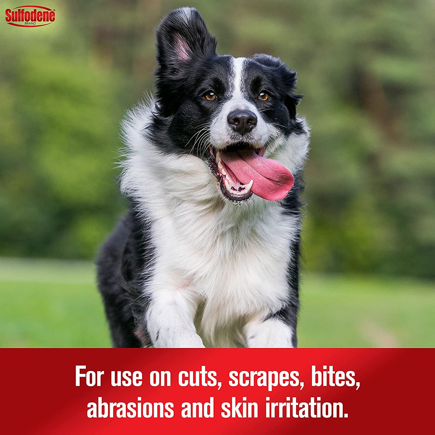 Dog Wound Care 3-Way Ointment, Relieves Pain & Prevents Infection for Dog Cuts, Scrapes, Bites and Injuries, 2 Ounce