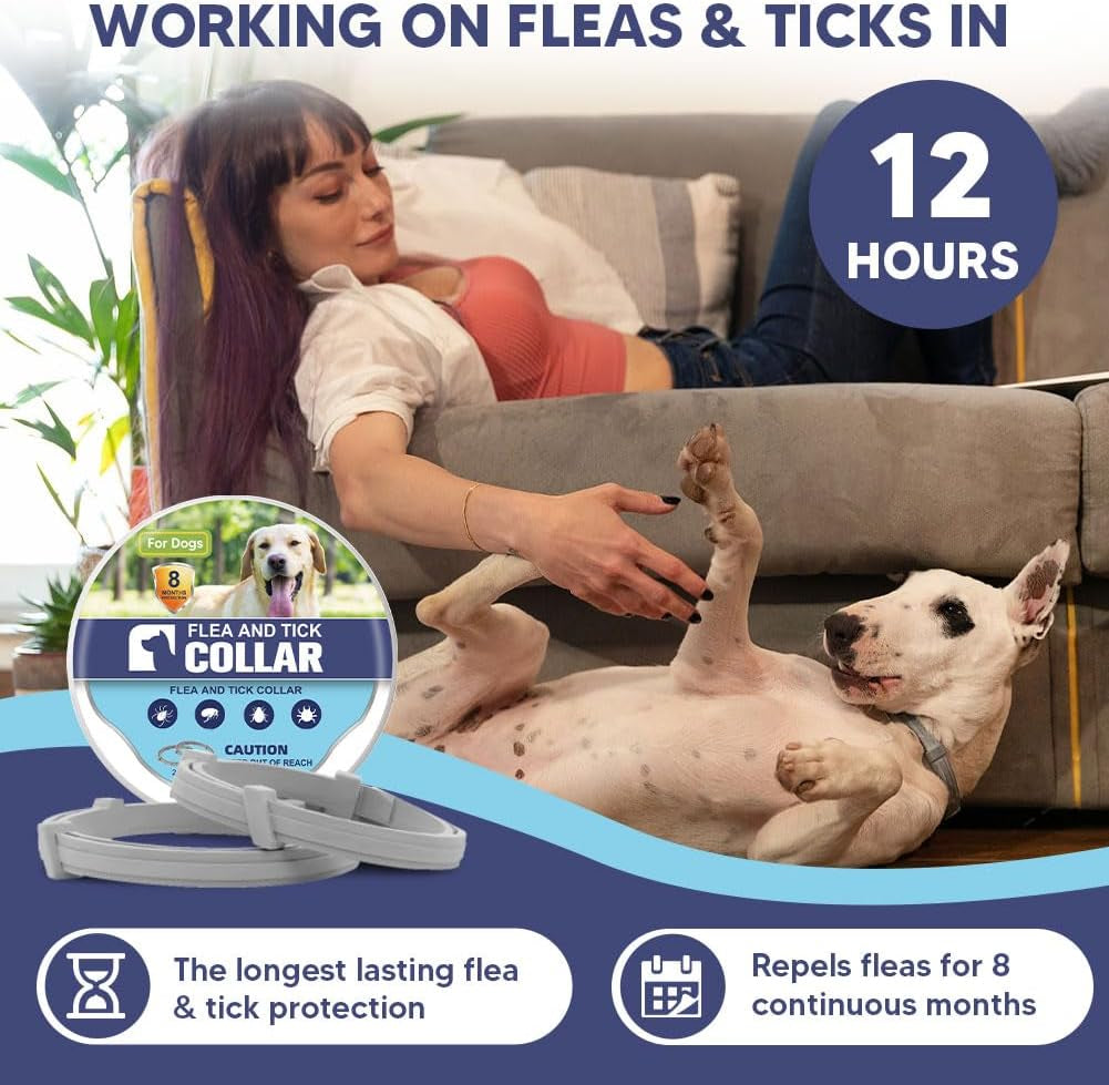 Flea Collar for Dogs, Adjustable Flea and Tick Collar for Large Dogs, 8 Months Protection 2 Count