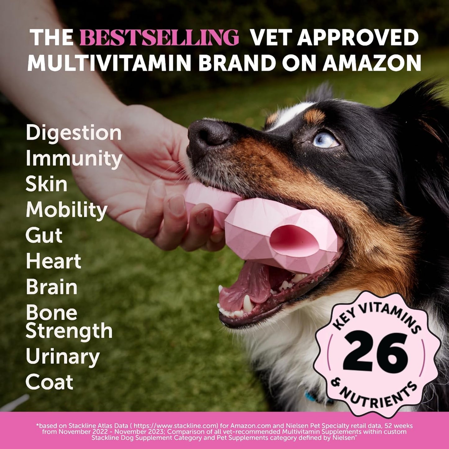 Multivitamin Dog Supplement, Glucosamine Chondroitin for Dogs, Probiotics, Omega Fish Oil, Dog Supplements & Vitamins, Vitamins for Skin and Coat Allergies, (Peanut Butter 90 Ct)