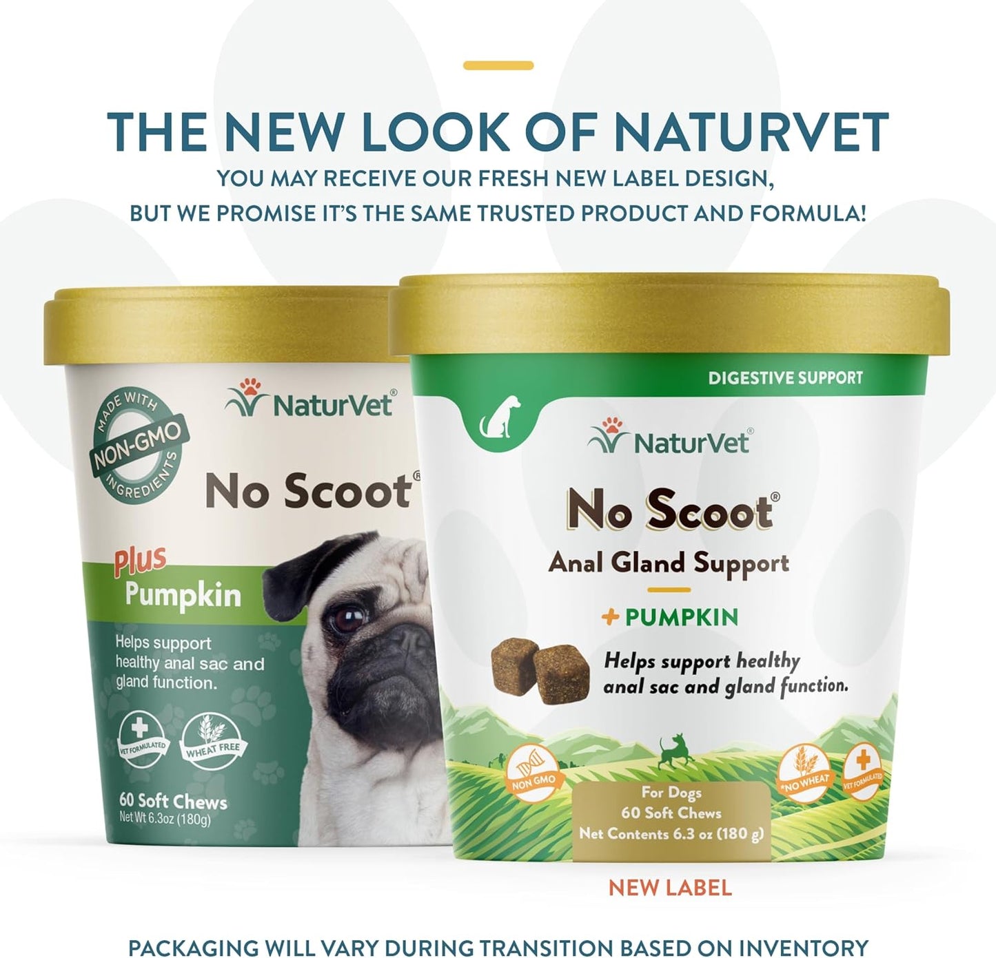 - No Scoot for Dogs - 60 Soft Chews - plus Pumpkin - Supports Healthy Anal Gland & Bowel Function - Enhanced with Beet Pulp & Psyllium Husk