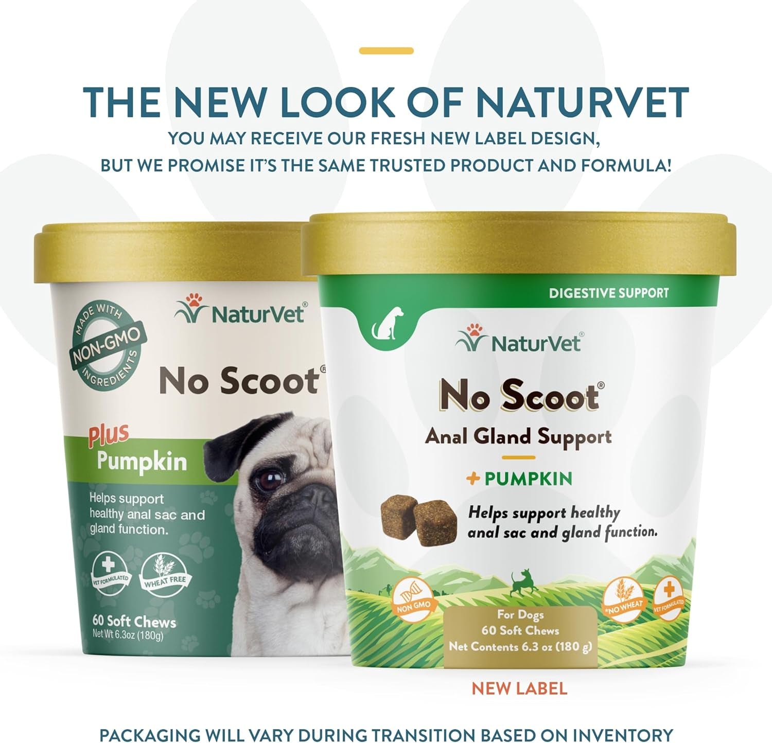 - No Scoot for Dogs - 60 Soft Chews - plus Pumpkin - Supports Healthy Anal Gland & Bowel Function - Enhanced with Beet Pulp & Psyllium Husk