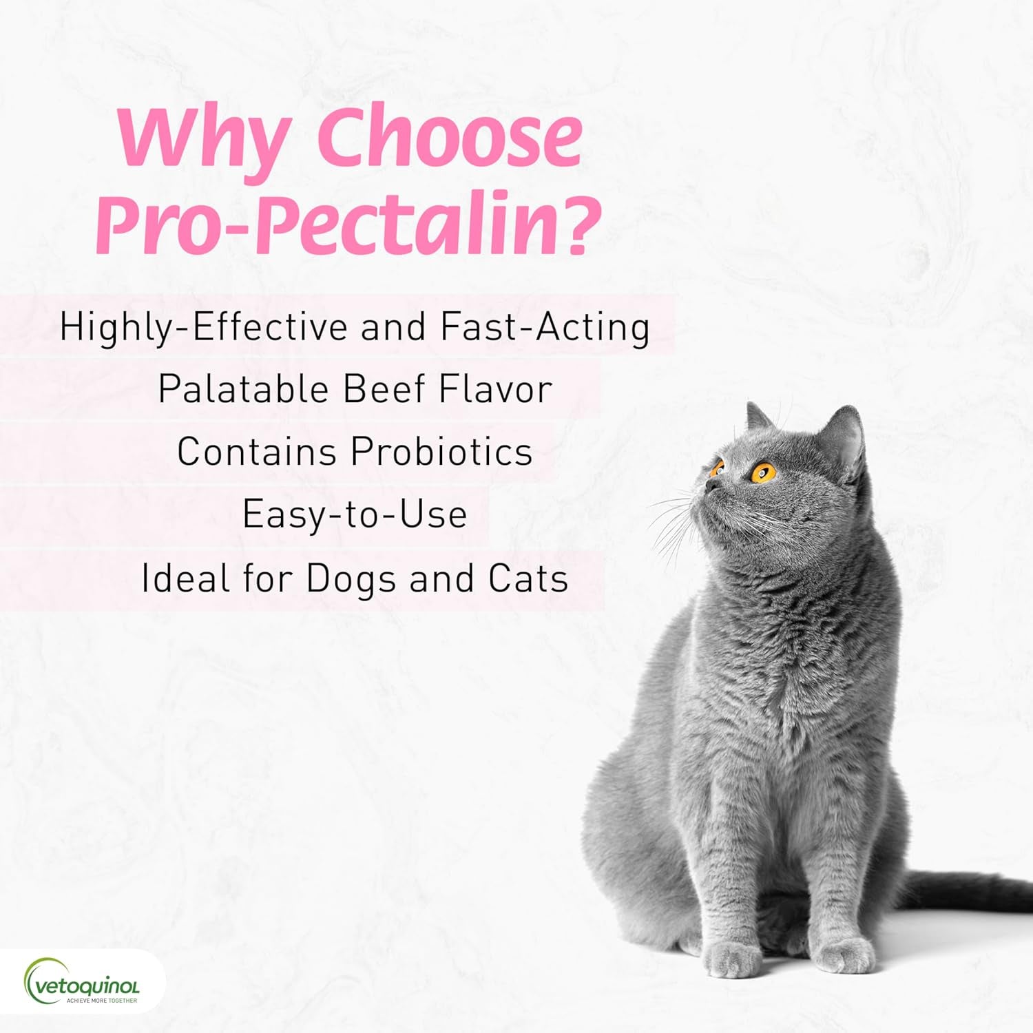 Pro-Pectalin Chewable Tablets for Dogs & Cats, Helps Relieve Occasional Diarrhea, Situational Diarrhea Relief with Kaolin and Pectin, Contains Beneficial Probiotic Bacteria, 60Ct