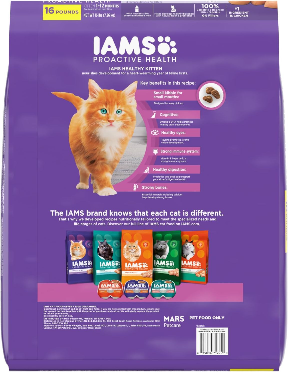Proactive Health Healthy Kitten Dry Cat Food with Chicken, 16 Lb. Bag
