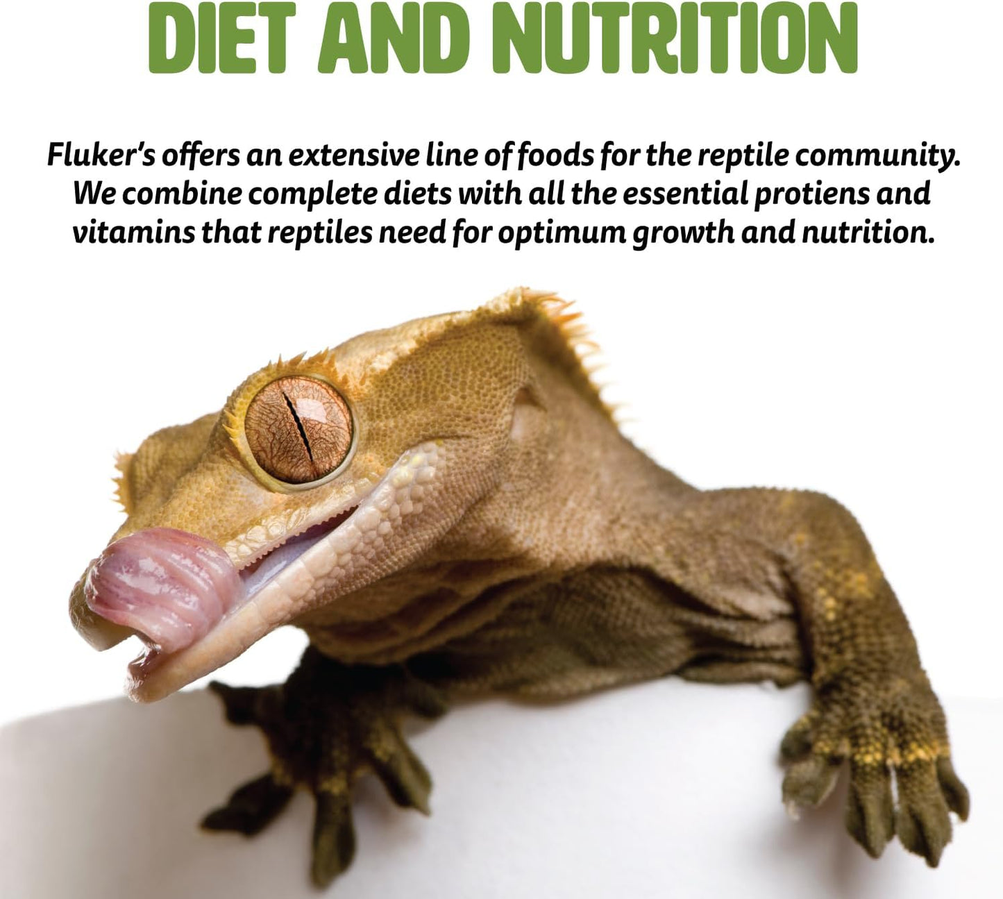 Buffet Blend Aquatic Formula, Turtle Food with Freeze, Dried Shrimp, Mealworms, and Vitamin Enriched Pellets, 7.5 Oz