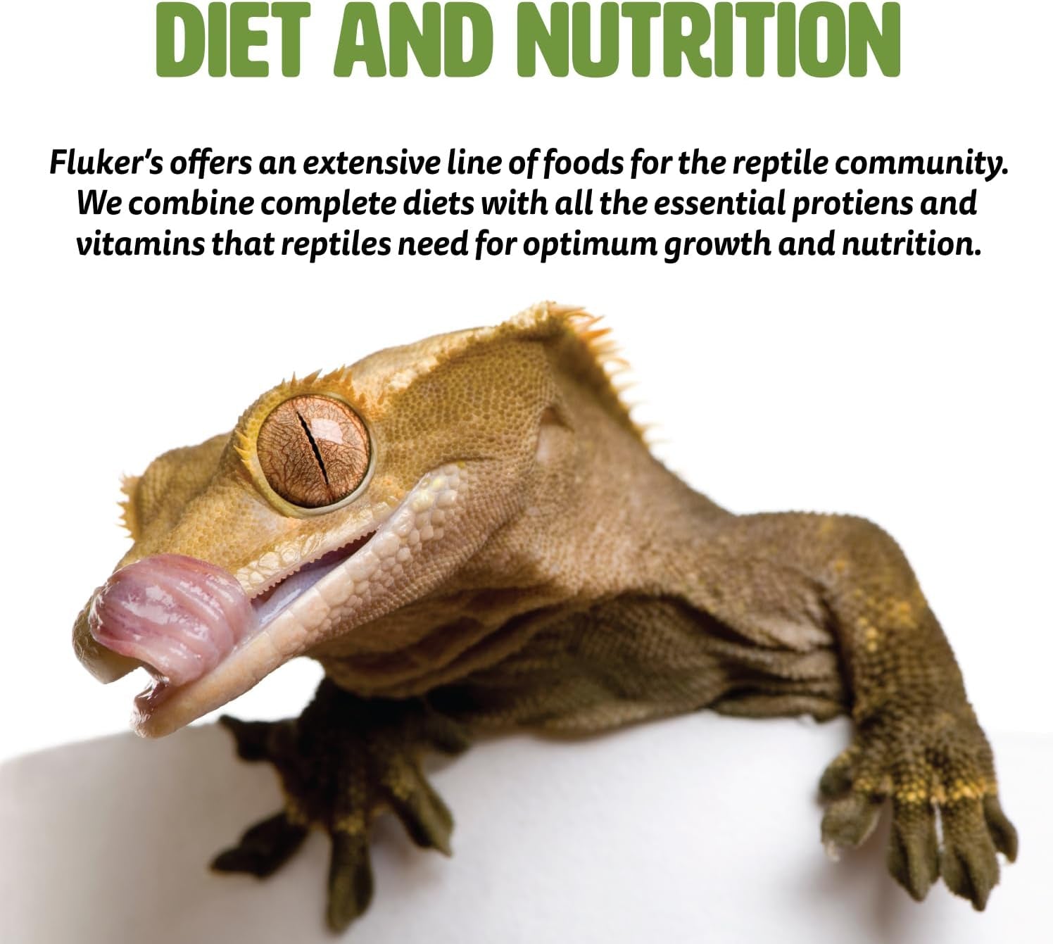 Buffet Blend Aquatic Formula, Turtle Food with Freeze, Dried Shrimp, Mealworms, and Vitamin Enriched Pellets, 7.5 Oz