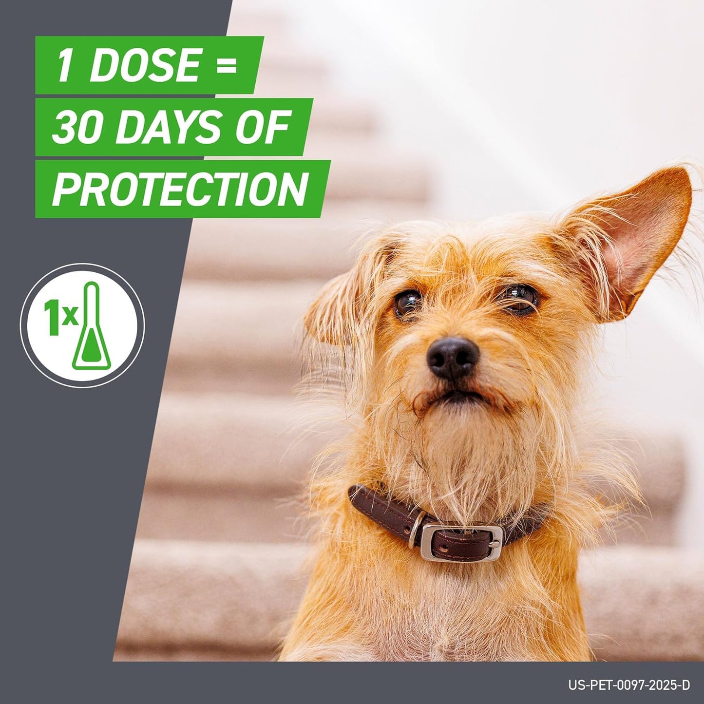 plus Flea and Tick Treatment for Medium Dogs up to 23 to 44 Lbs. 3 Treatments