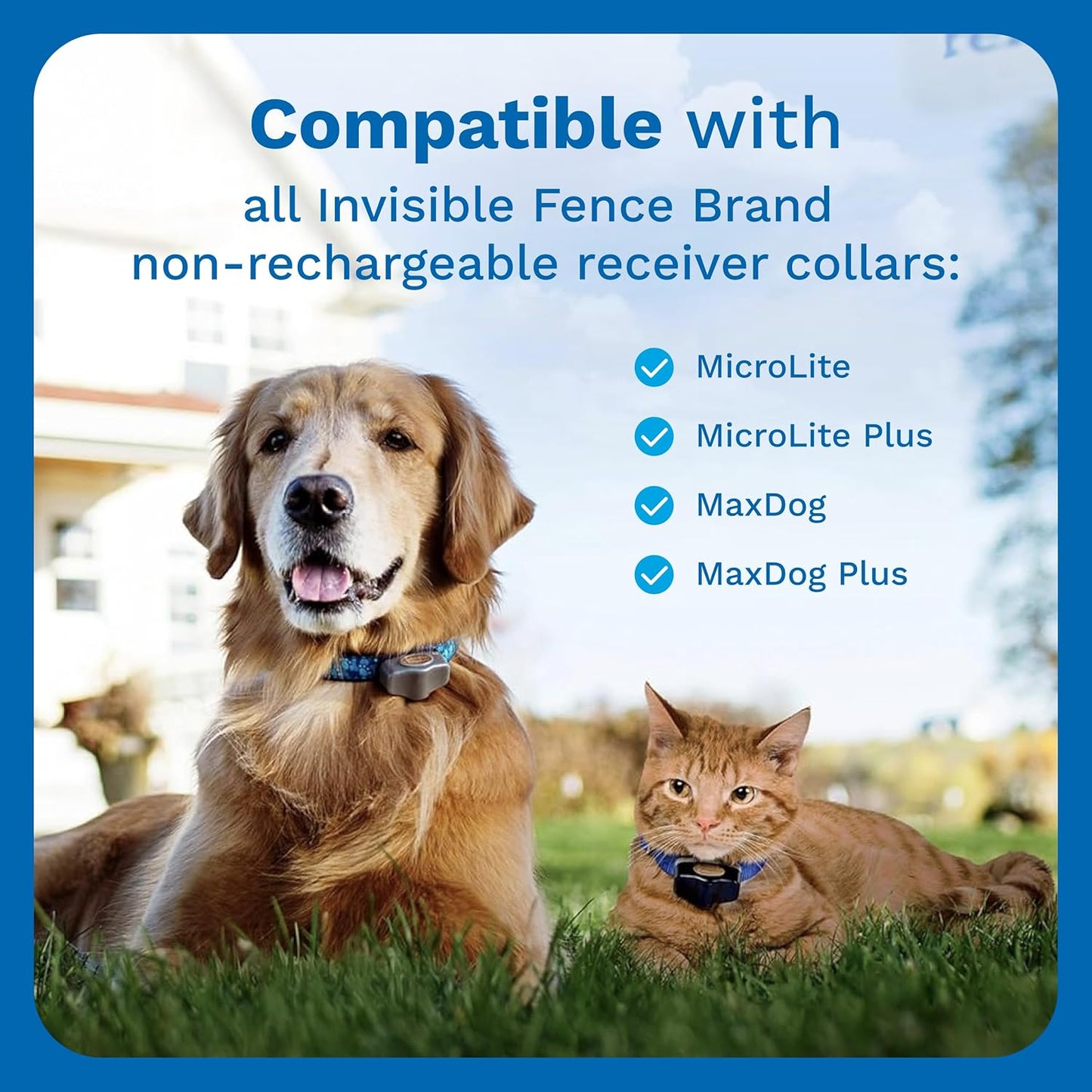 Power Cap Battery - Original IFB Electric Fence Battery Replacement for Dog Collars - Long-Lasting - 2 Pack