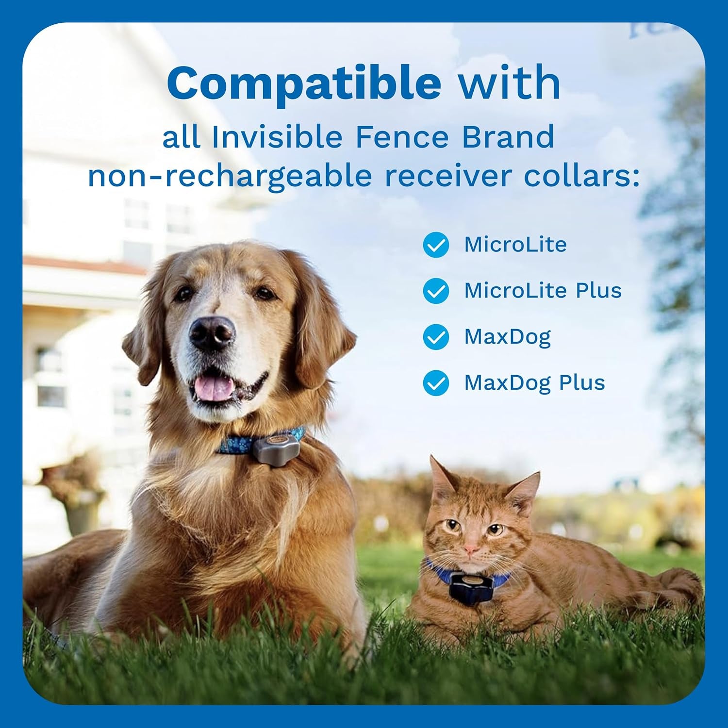 Power Cap Battery - Original IFB Electric Fence Battery Replacement for Dog Collars - Long-Lasting - 2 Pack