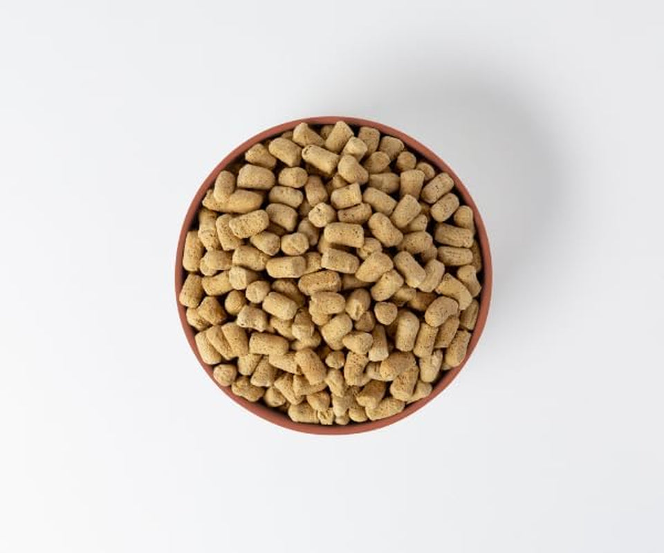 Freeze-Dried Raw Dog Food – Multi-Protein with Beef, Chicken, Fish, Liver & Organs, High Protein, Omega-3S, Fruits, Veggies & Superfoods, Grain-Free, No Fillers, 1 Lb – Made in USA