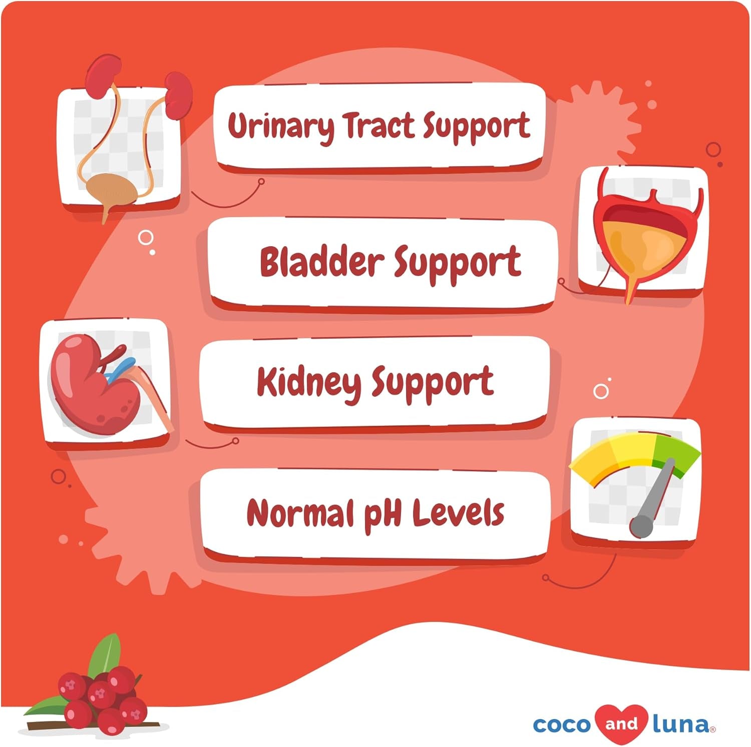 Cranberry for Dogs - 90 Soft Chews - Urinary Tract Support, Bladder Health, Dog UTI, Bladder Stones, Incontinence Support (Soft Chews)