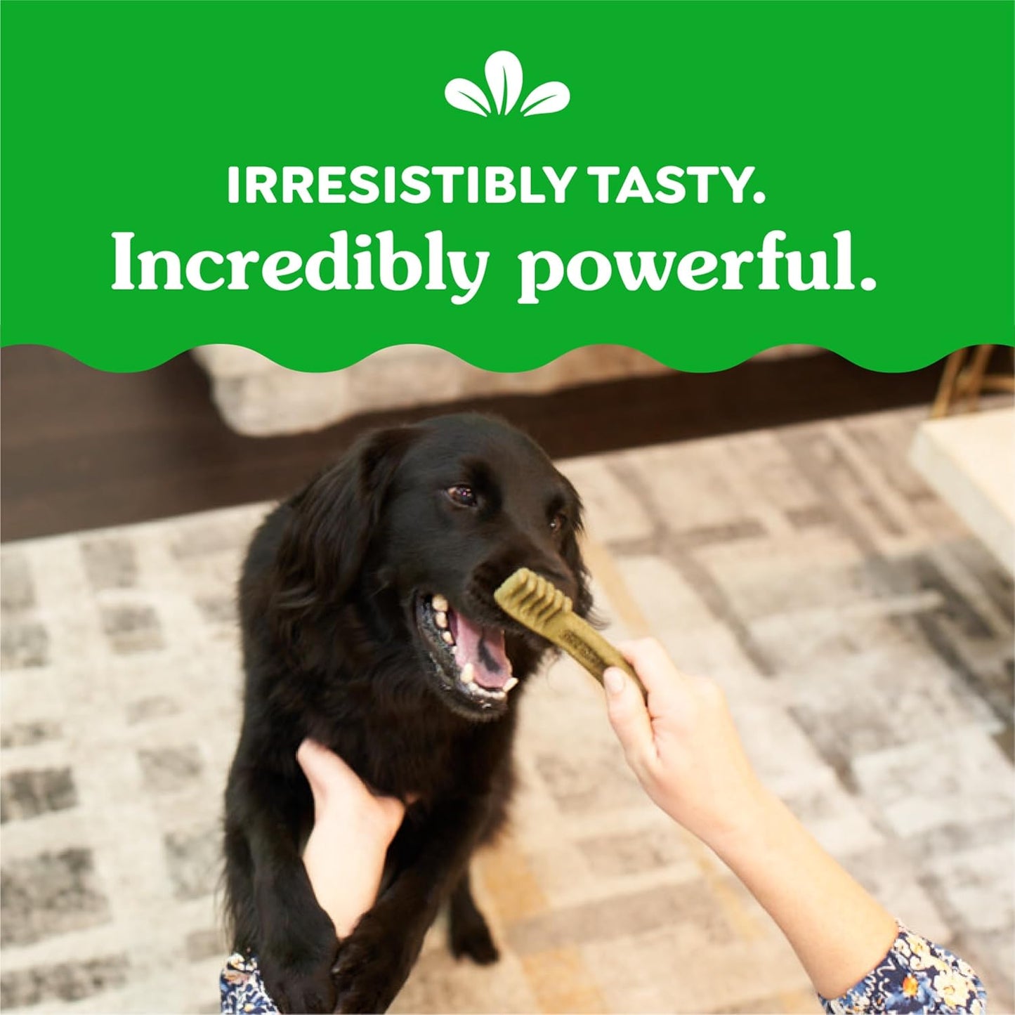 Weight Management Regular Dog Dental Chews Weight Control Dog Treats, 27 Oz. Pack (27 Treats)