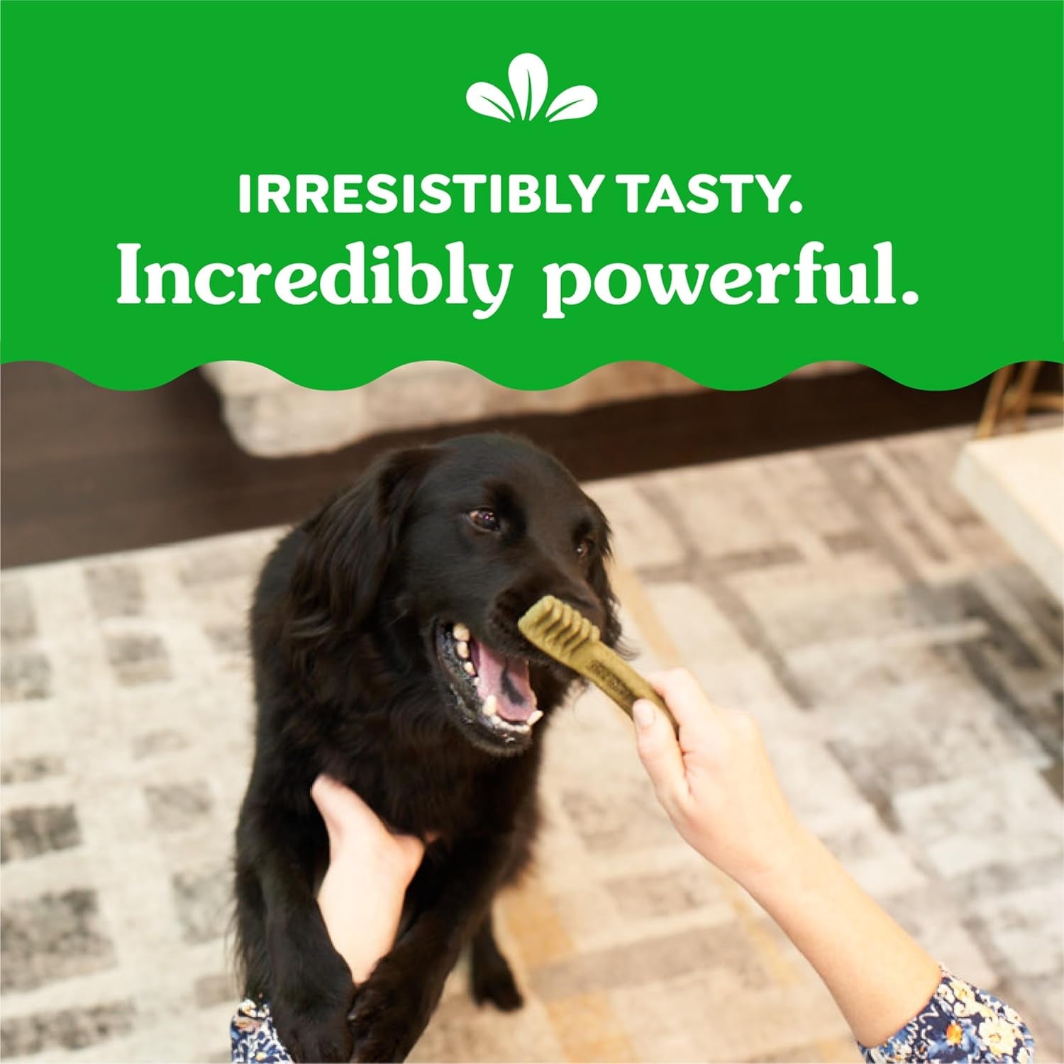 Weight Management Regular Dog Dental Chews Weight Control Dog Treats, 27 Oz. Pack (27 Treats)