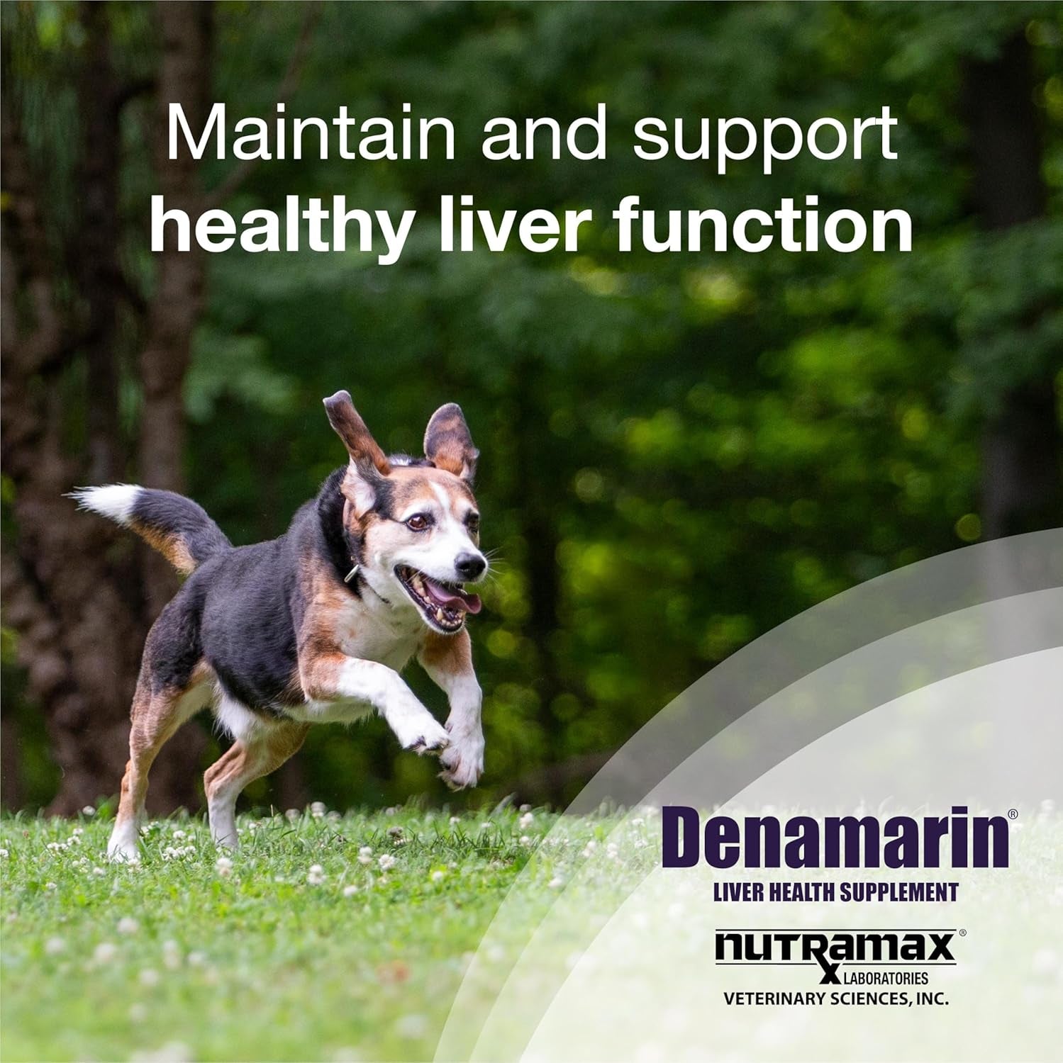 Denamarin Liver Health Supplement for Medium Dogs - with S-Adenosylmethionine (Same) and Silybin, 30 Tablets