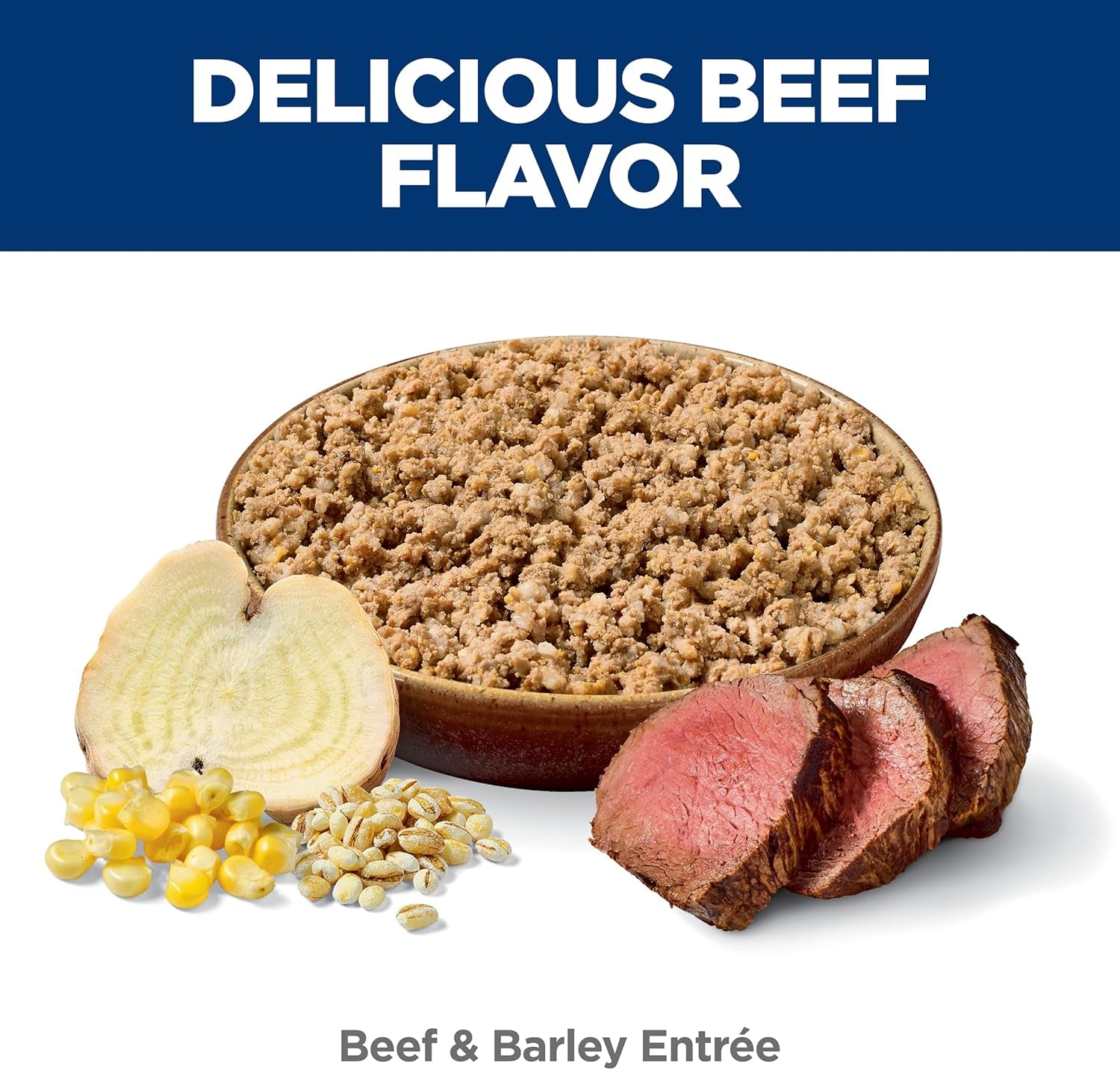 Adult 1-6, Adult 1-6 Premium Nutrition, Wet Dog Food, Beef & Barley Loaf, 13 Oz Can, Case of 12