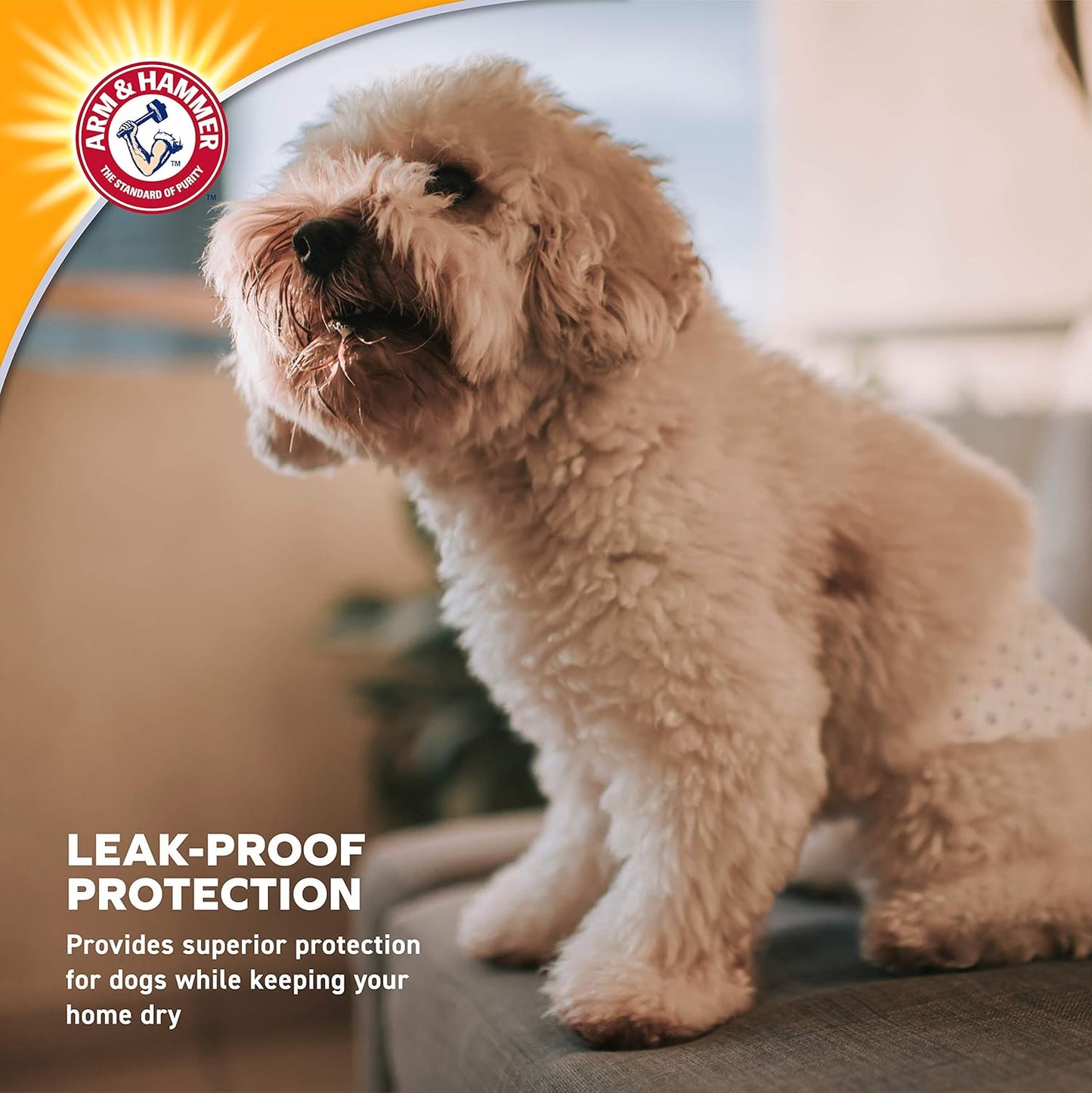for Pets Female Dog Diapers, Size Large, 12 Count | Ultra-Absorbent, Adjustable Girl Dog Diapers with Leak-Proof Protection and Wetness Indicator