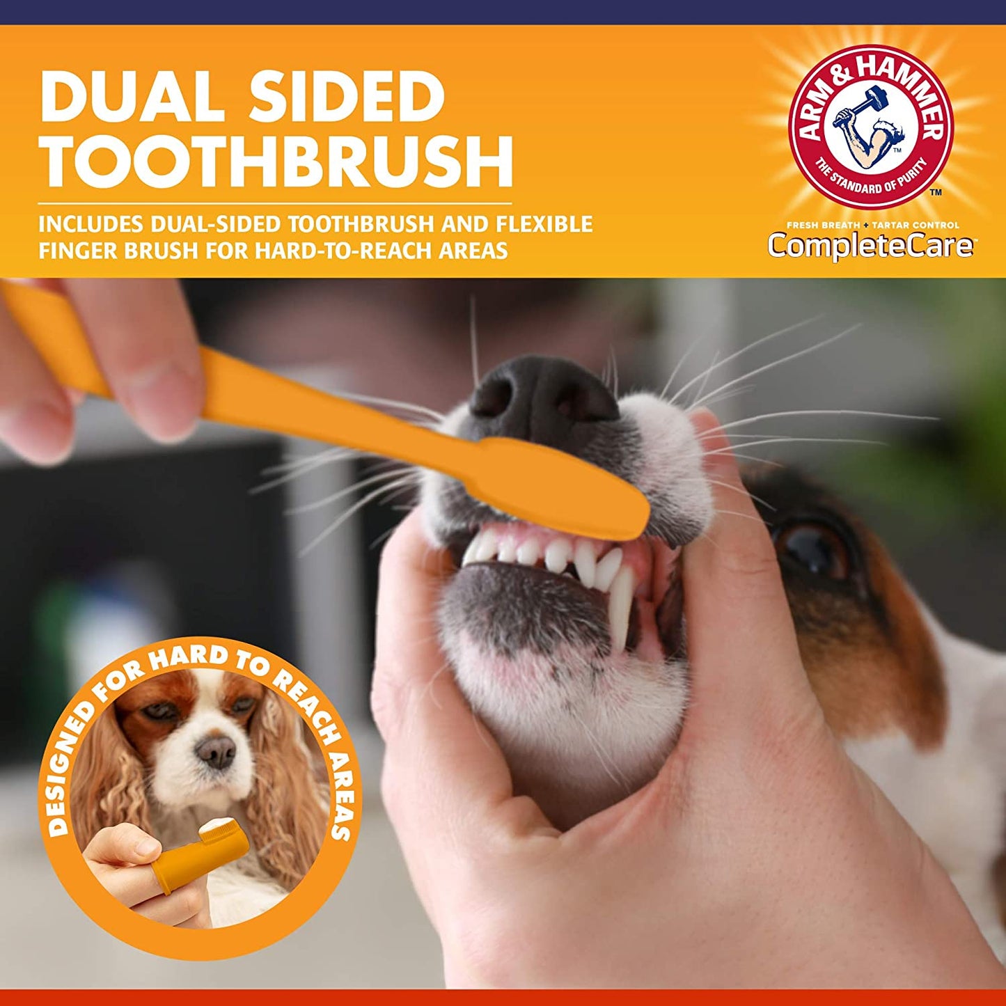 Dog Dental Kit - Enzymatic Dog Toothpaste 2.5 Oz