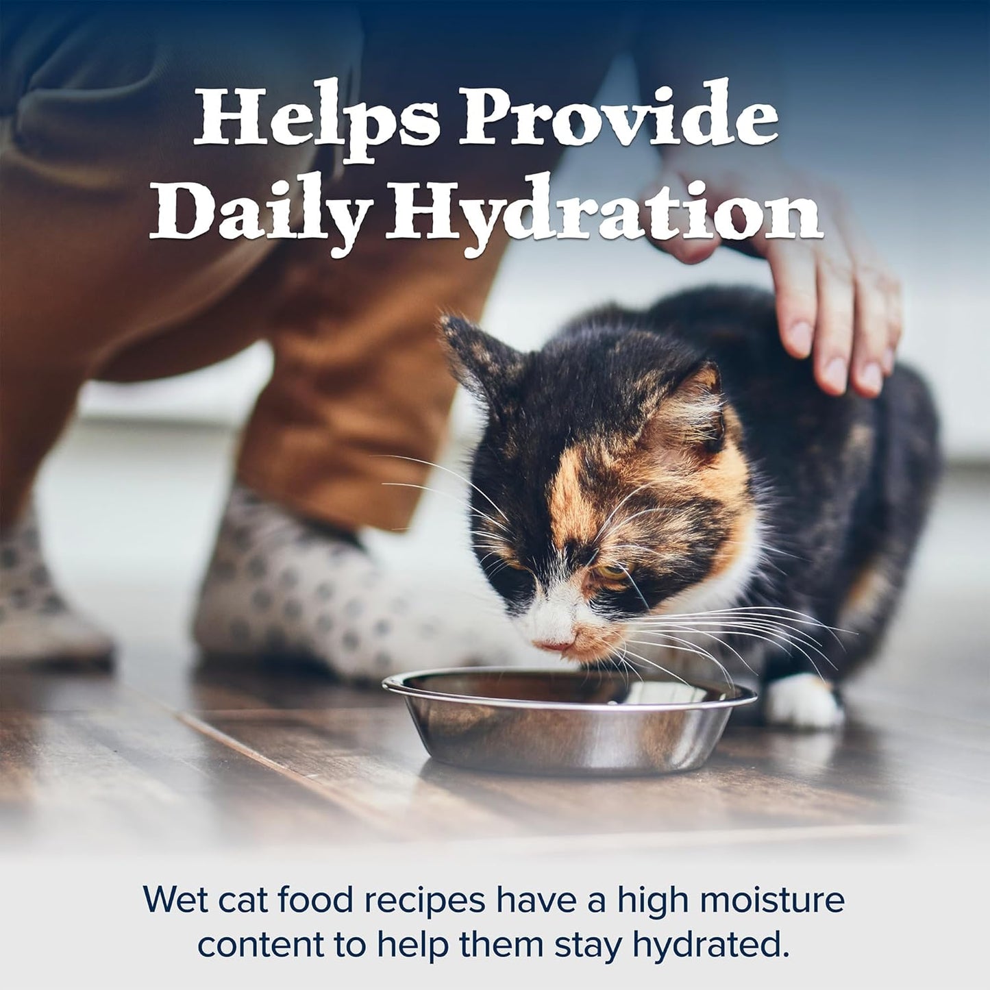 Wilderness Wild Delights Meaty Morsels Wet Cat Food, High-Protein & Grain-Free, Made with Natural Ingredients, Chicken & Turkey Recipe in Tasty Gravy, 3-Oz. Cans (24 Count)