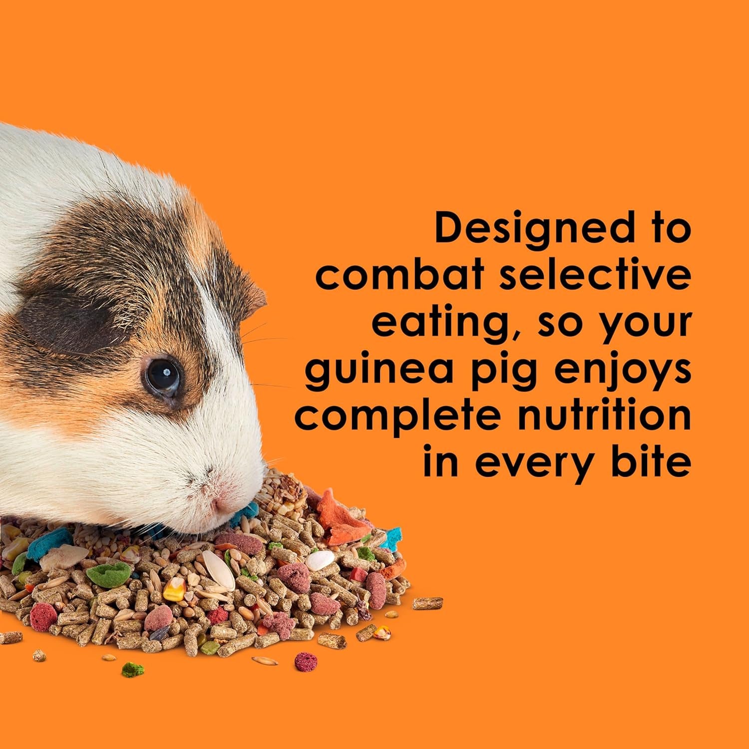 Fiesta Guinea Pig Food, Nutritious and Fun Blend, Supports Dental Health and Digestion, 4.5 Pounds
