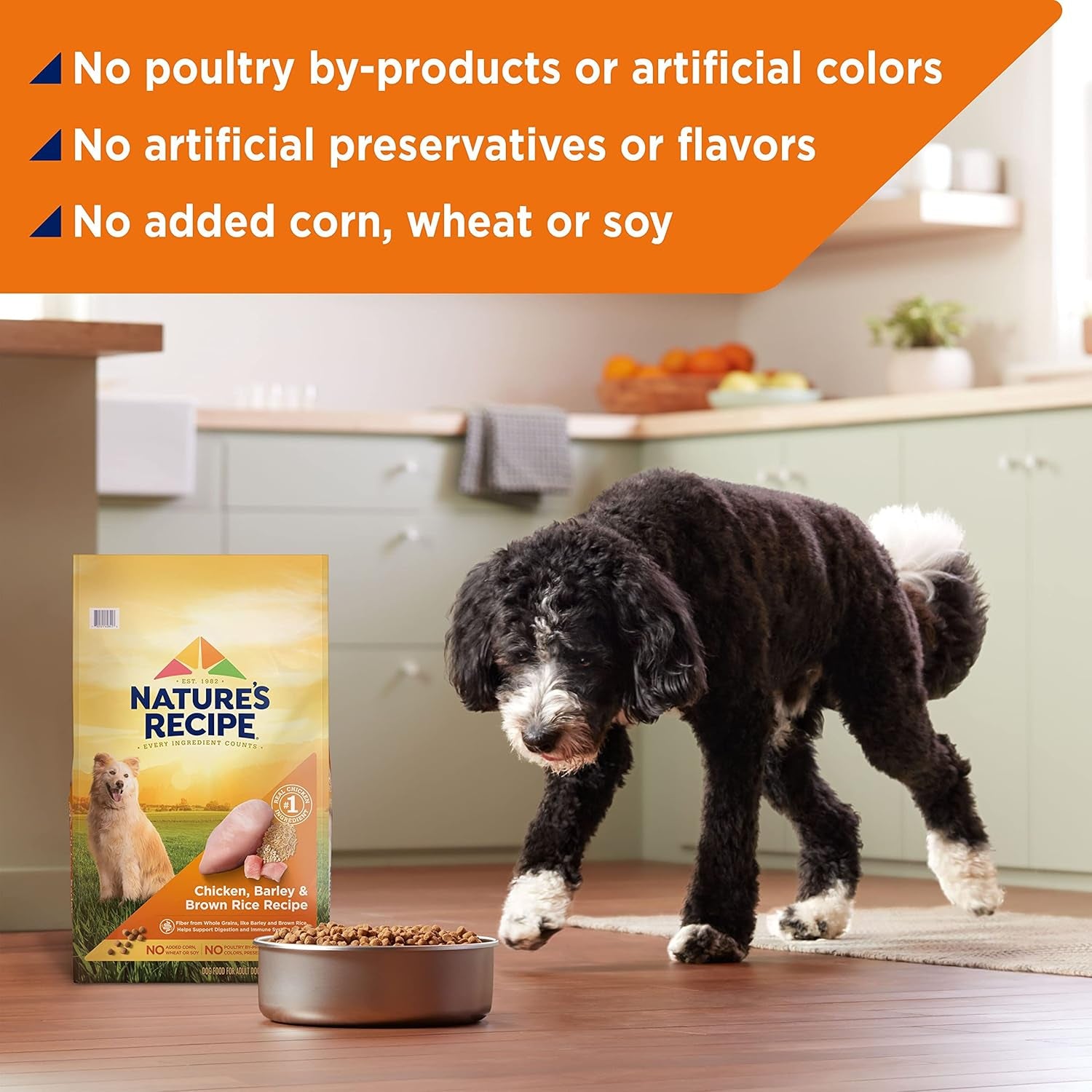 Nature′S Recipe Chicken, Barley & Brown Rice Recipe Dry Dog Food, 24 Lb. Bag