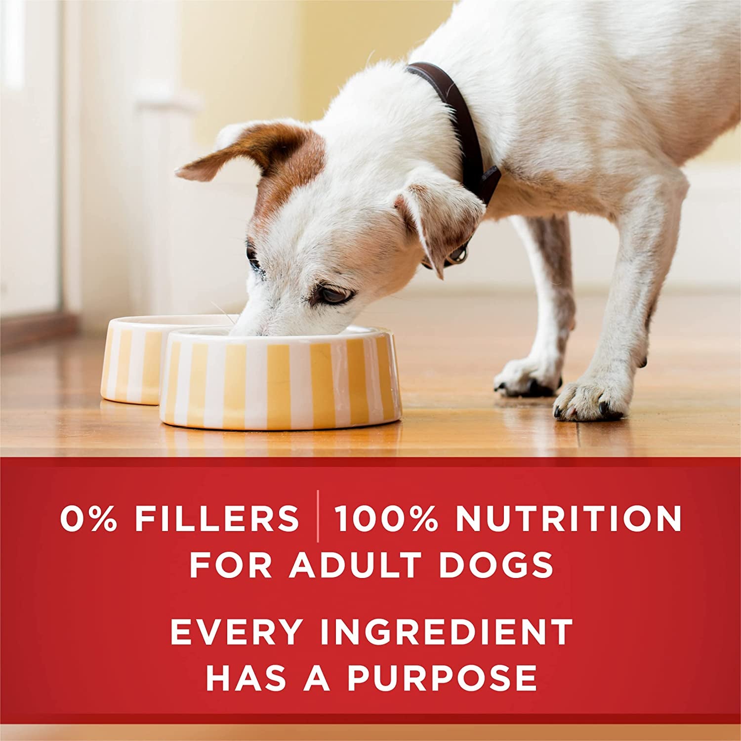 Classic Ground Chicken and Brown Rice, and Beef and Brown Rice Entrees Wet Dog Food Variety Pack - (Pack of 6) 13 Oz. Cans