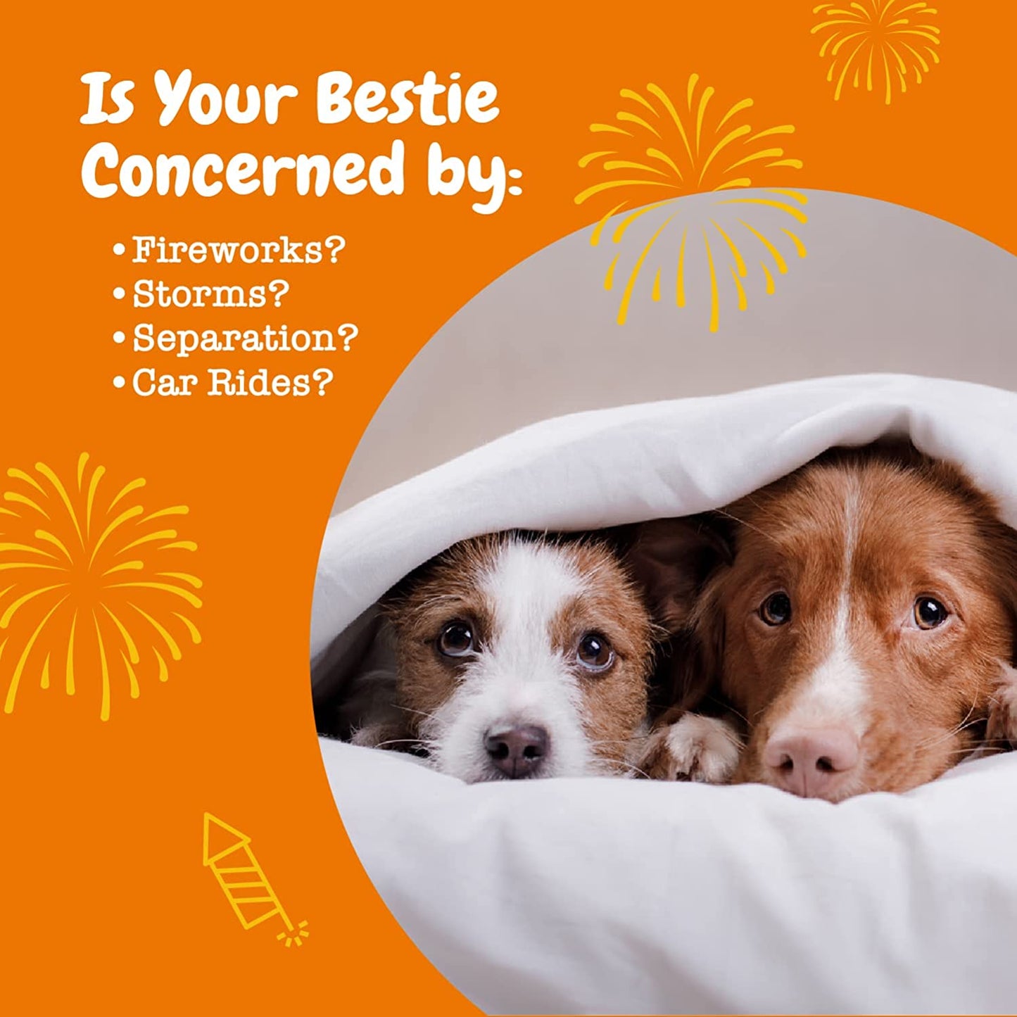 Calming Chews for Dogs - for Everyday Stress, Relaxation, Composure, and Separation Turkey 90 Count