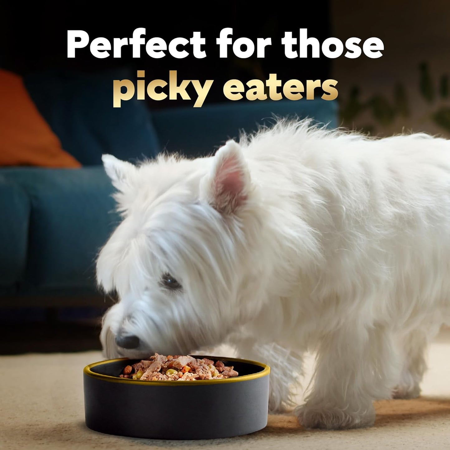 Simply Crafted Adult Wet Dog Food Meal Topper, Beef, Chicken, Purple Potatoes, Peas & Carrots, 1.3Oz. (10 Count, Pack of 1)