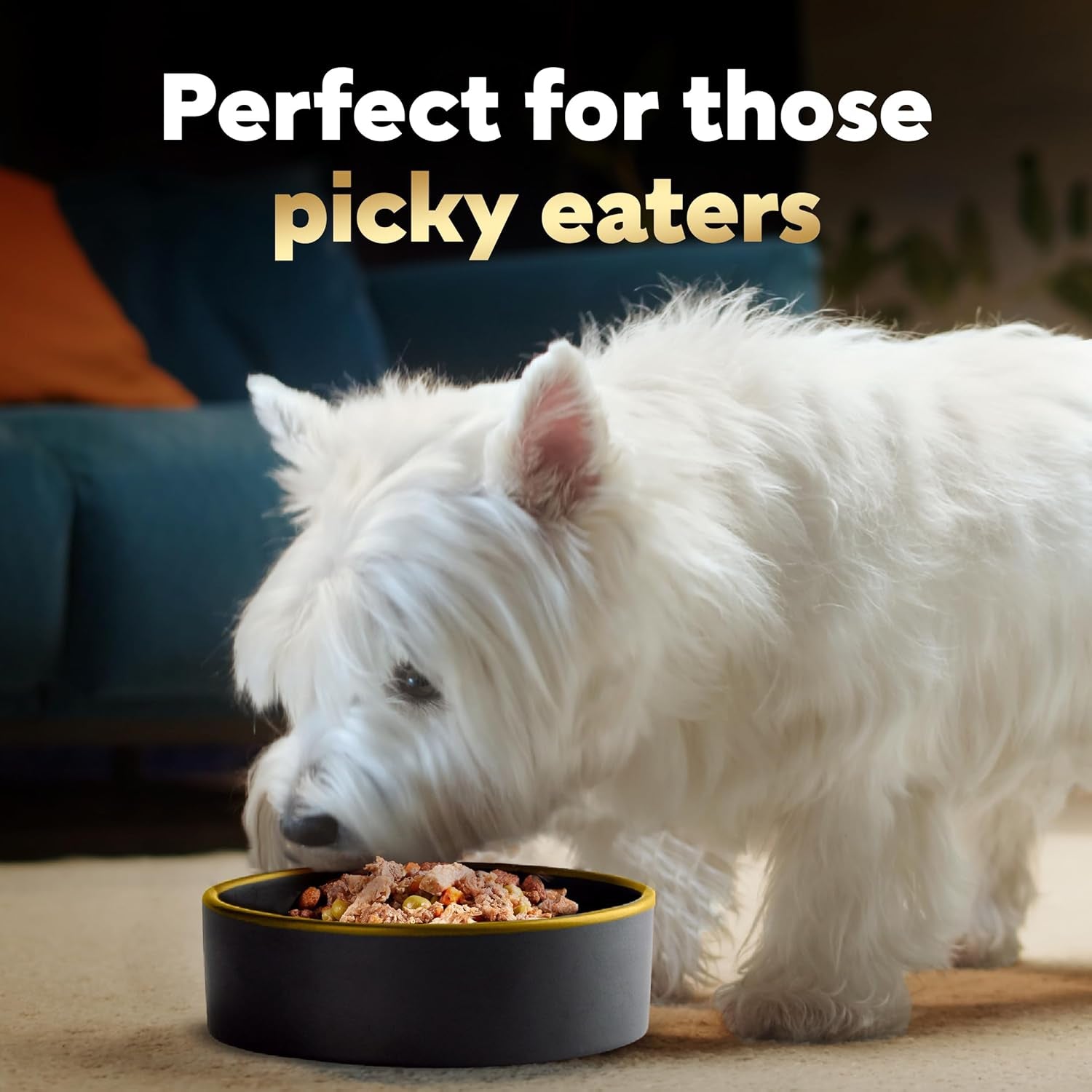 Simply Crafted Adult Wet Dog Food Meal Topper, Beef, Chicken, Purple Potatoes, Peas & Carrots, 1.3Oz. (10 Count, Pack of 1)