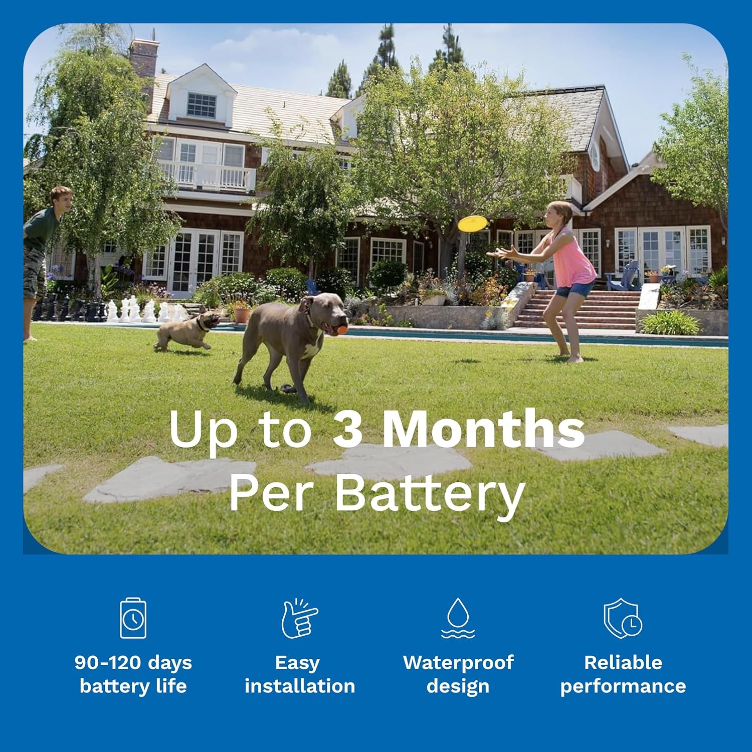 Power Cap Battery - Original IFB Electric Fence Battery Replacement for Dog Collars - Long-Lasting - 2 Pack