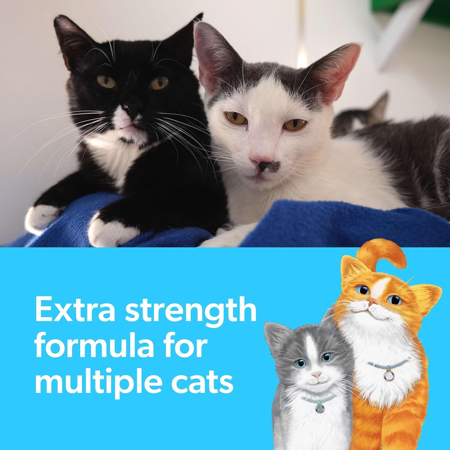 Advanced Multi Cat Clumping Litter with Febreze Freshness,  Clumping Cat Litter Extra Strength Formula, 37 Lbs. (2 X 18.5 Lb. Box)