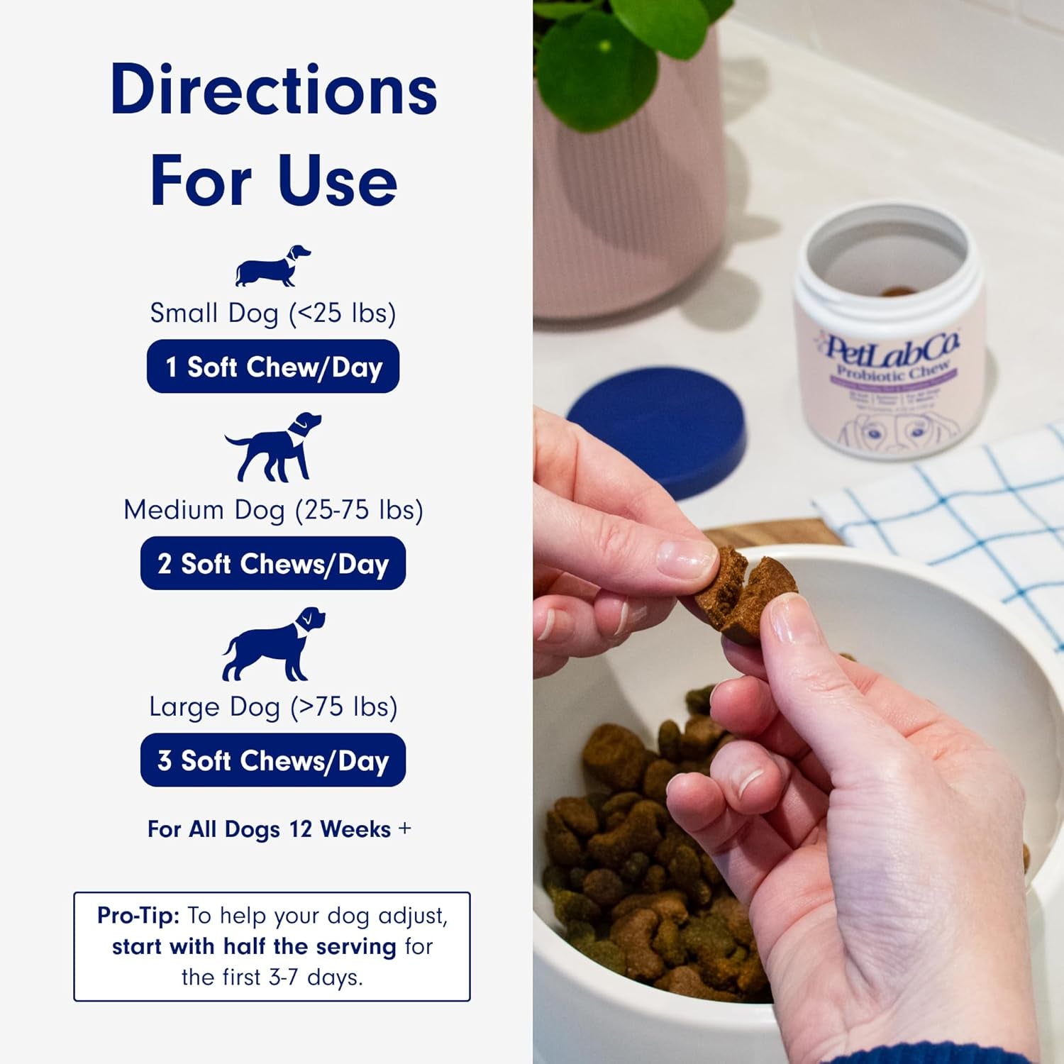 Probiotics for Dogs, Support Gut Health, Occasional Diarrhea, Digestive Health & Seasonal Allergies - Salmon Flavor - 30 Soft Chews