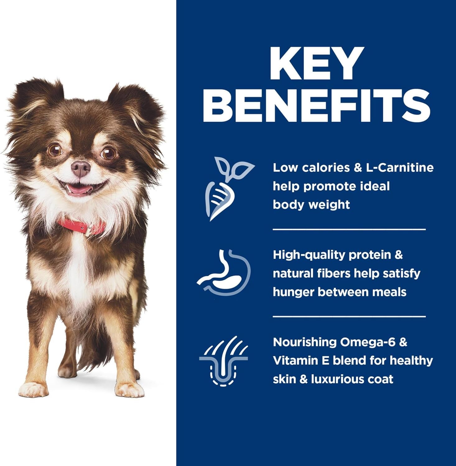 Sensitive Stomach & Skin, Adult 1-6, Small & Mini Breeds Stomach & Skin Sensitivity Support, Dry Dog Food, Chicken Recipe, 15 Lb Bag