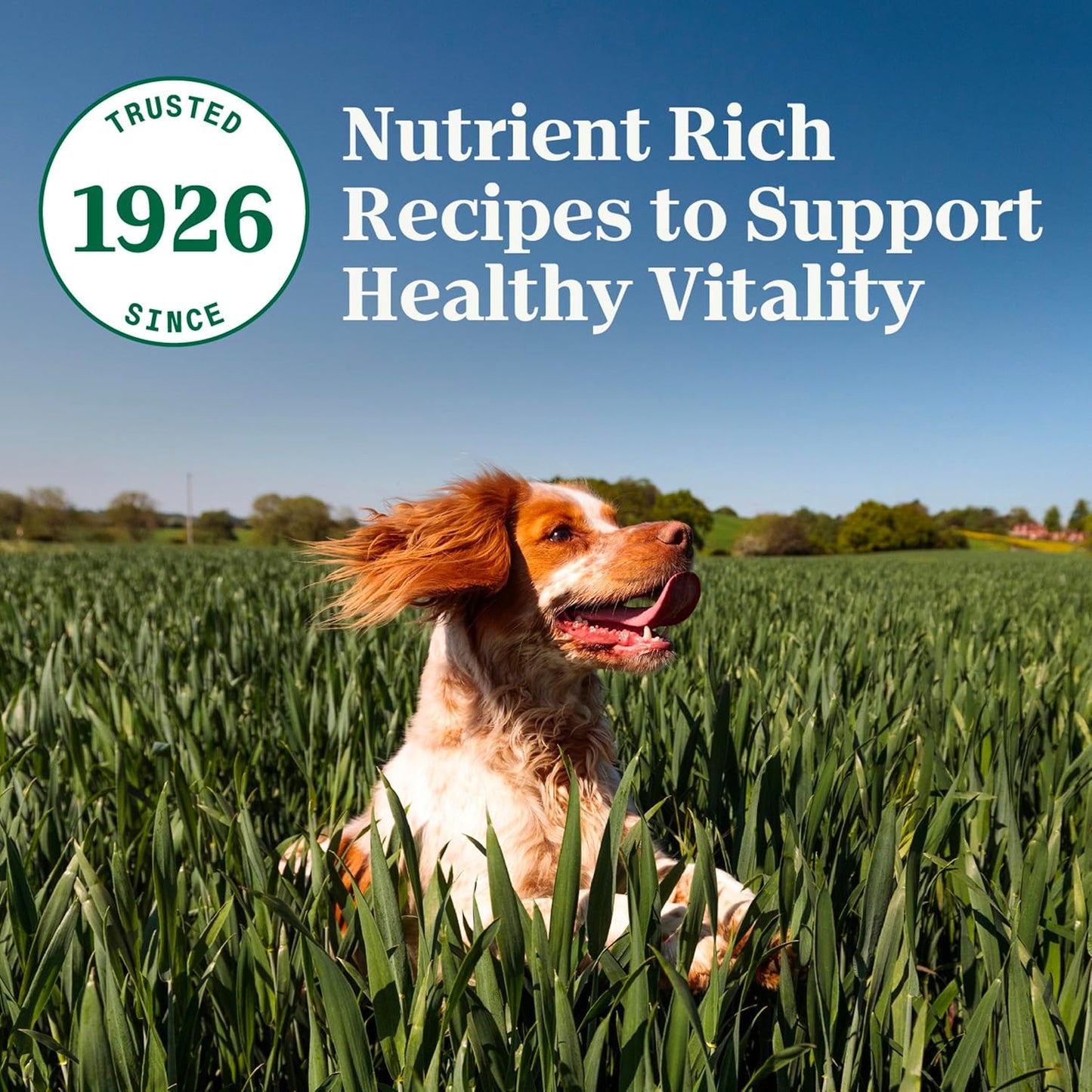 Natural Choice Adult Small Breed Dry Dog Food, Chicken and Brown Rice, 5 Lbs.