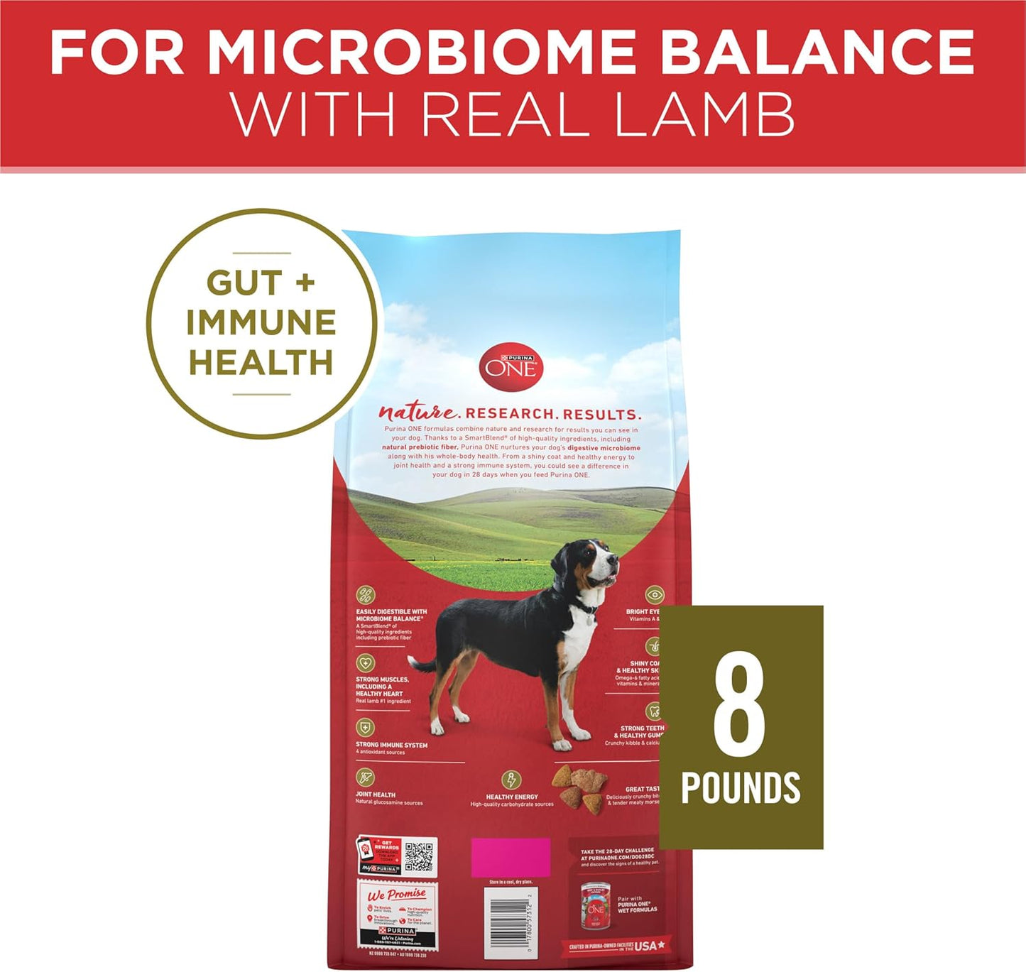 Dry Dog Food Lamb and Rice Formula - 8 Lb. Bag
