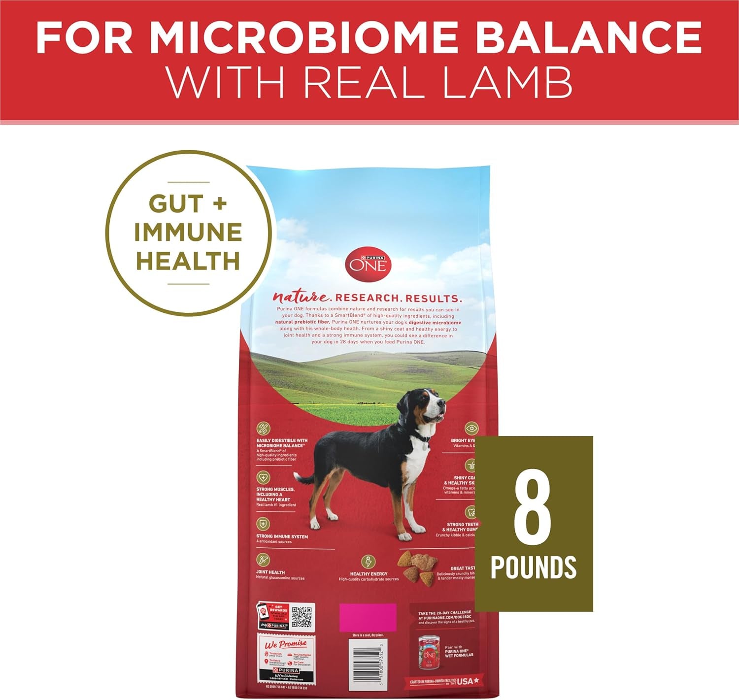 Dry Dog Food Lamb and Rice Formula - 8 Lb. Bag