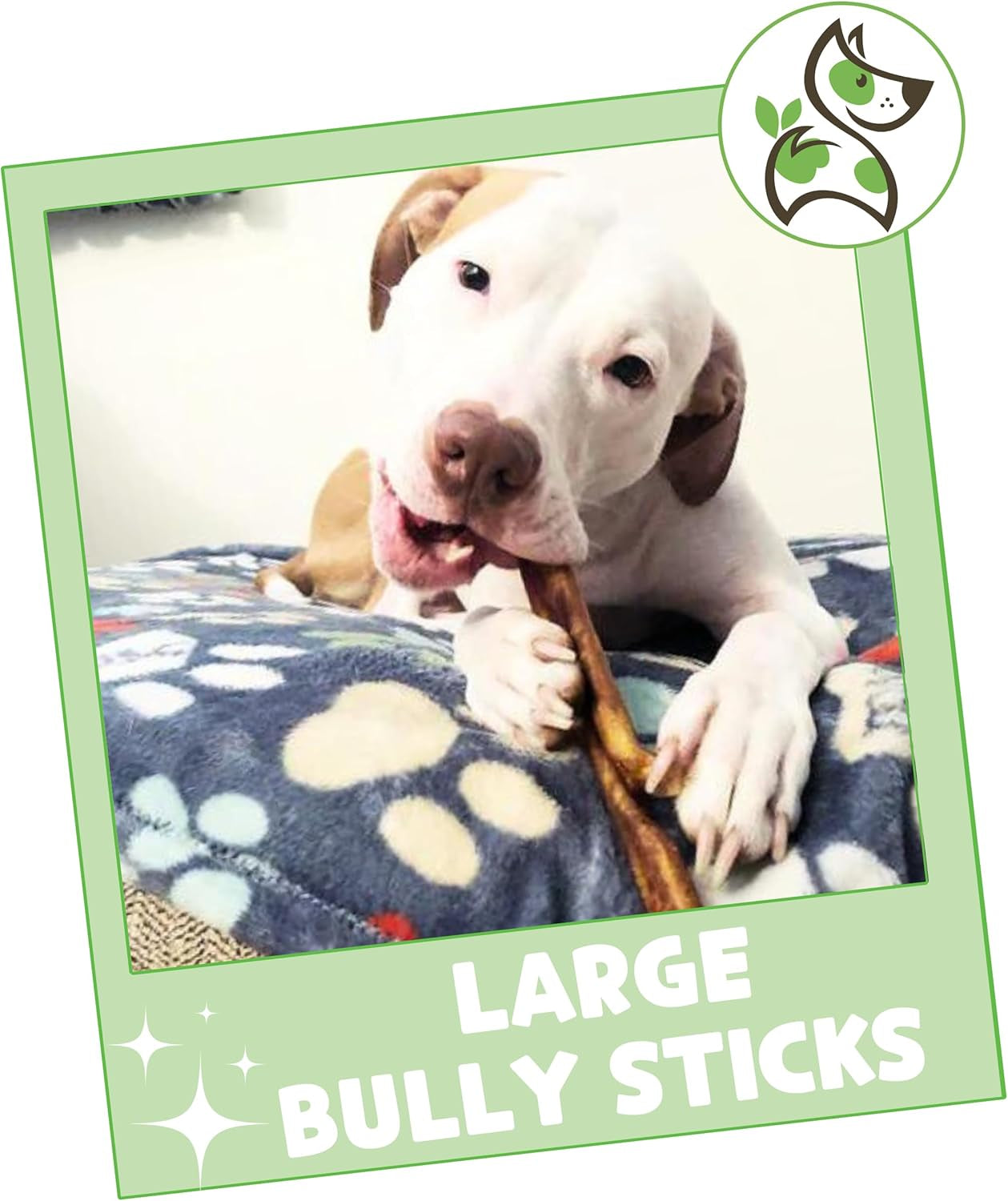 Large Bully Sticks for Dogs 5-6" (10 Count) - Thick Long Lasting for Aggressive Chewers and Large Dogs - Natural Beef Dog Chew Bones