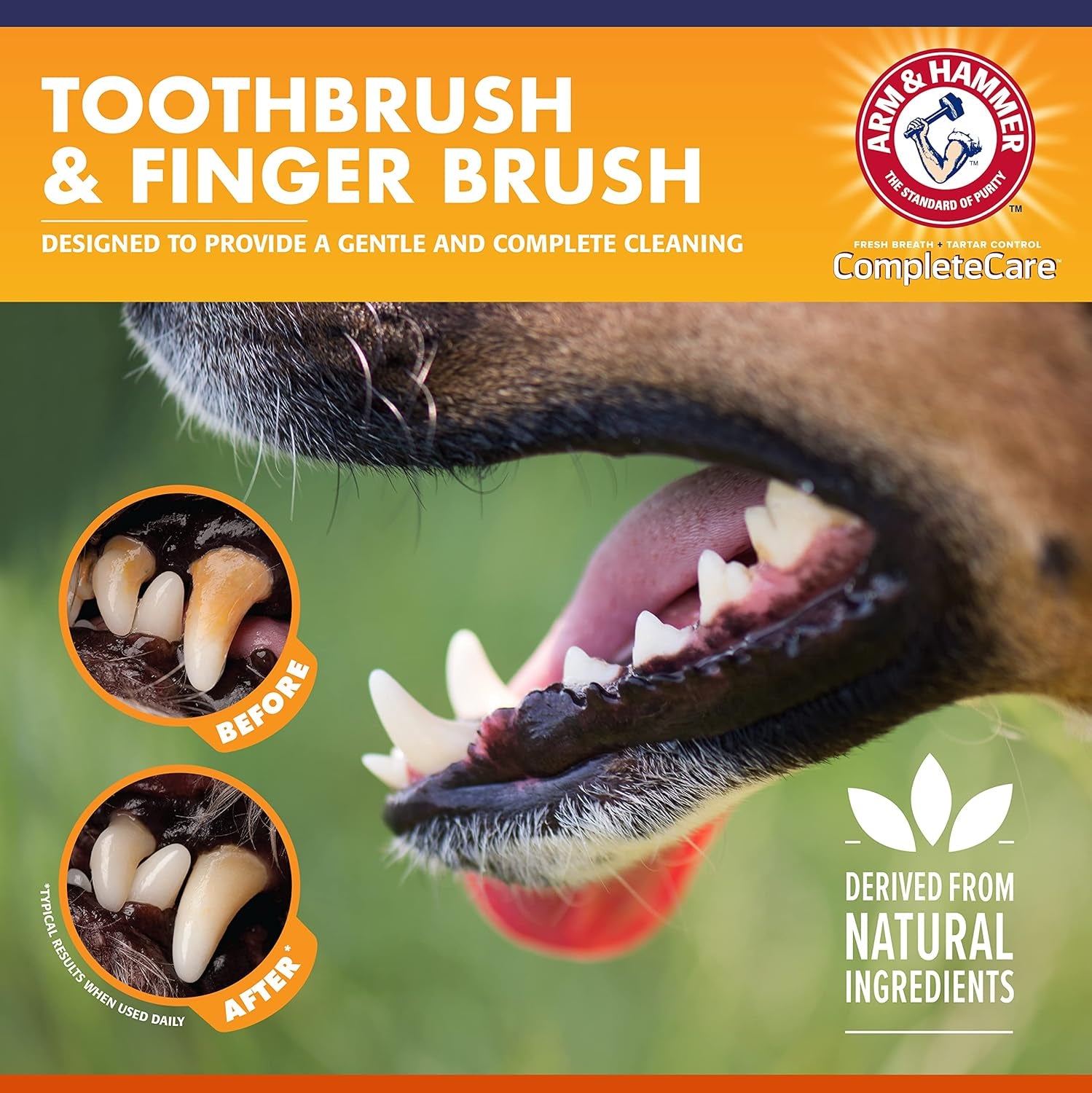 Complete Care Dog Dental Kit 2.5Oz Chicken Flavored Dog Toothpaste, Double Side Dog Toothbrush, Rubber Dog Finger Brus  Baking Soda Enhanced Formula