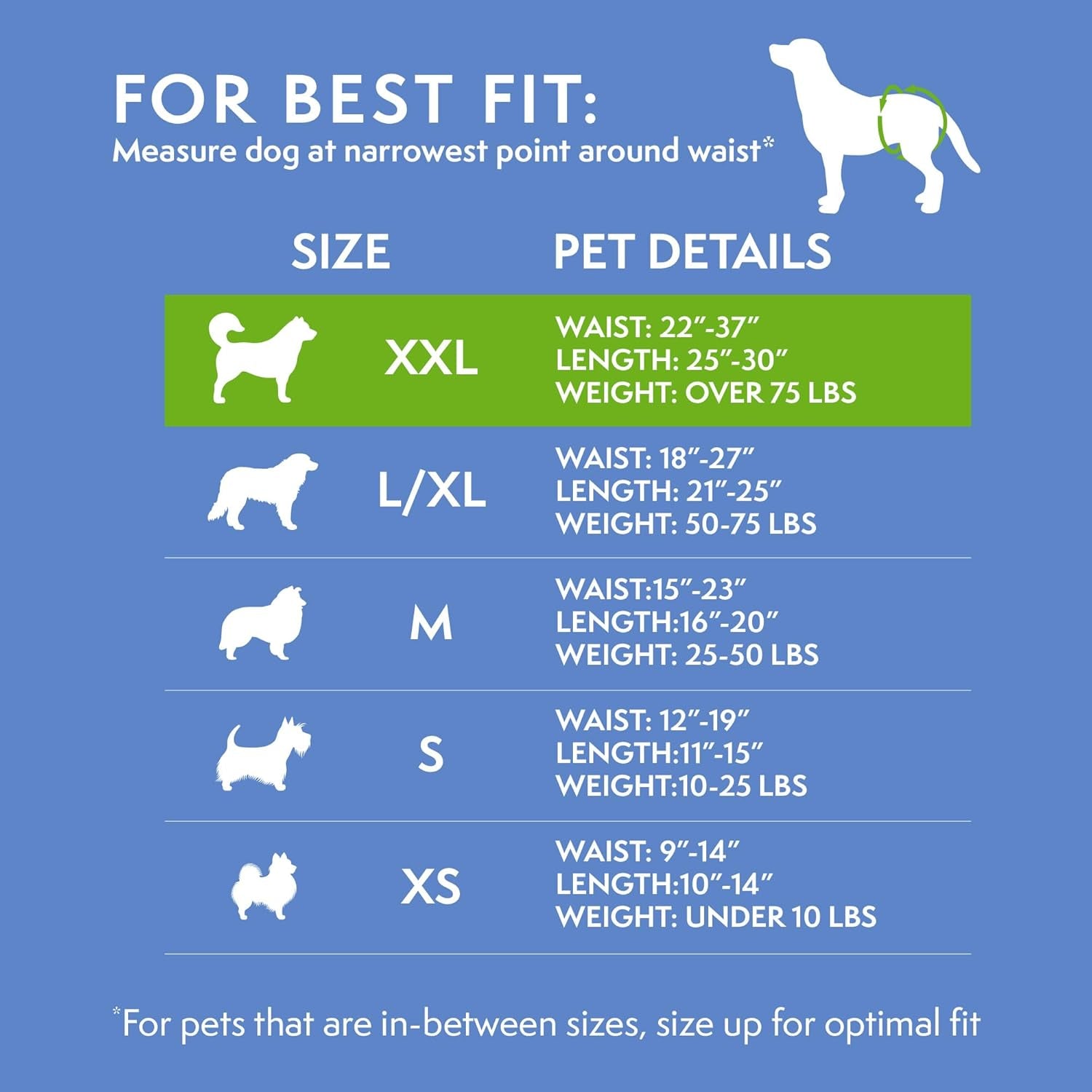 Dog Diapers Female, Dog Diapers, Potty Training, Super Absorbent, Breathable, Wetness Indicator for Urination, 22-37 Inch Waist, (XXL, 30Ct)