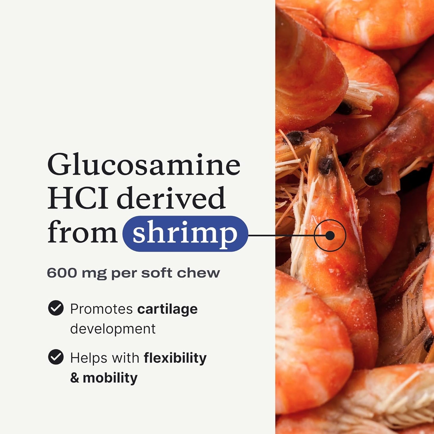 Joint Care Chews for Dogs - High Levels of Glucosamine, Green Lipped Mussels, Omega 3 and Turmeric - Hip and Joint Supplement for Dogs to Actively Support Mobility, Packaging May Vary