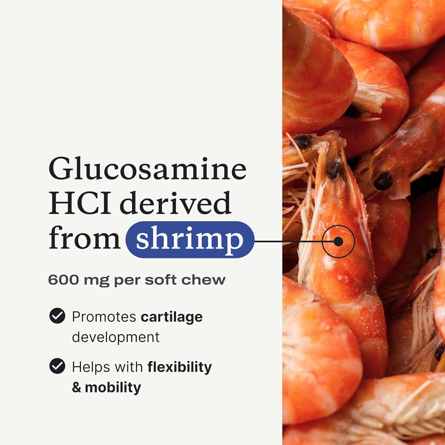 Joint Care Chews - High Levels of Glucosamine for Dogs, Green Lipped Mussels, Omega 3 and Turmeric - Hip and Joint Supplement to Actively Support Mobility - Packaging May Vary - (2-Pack)