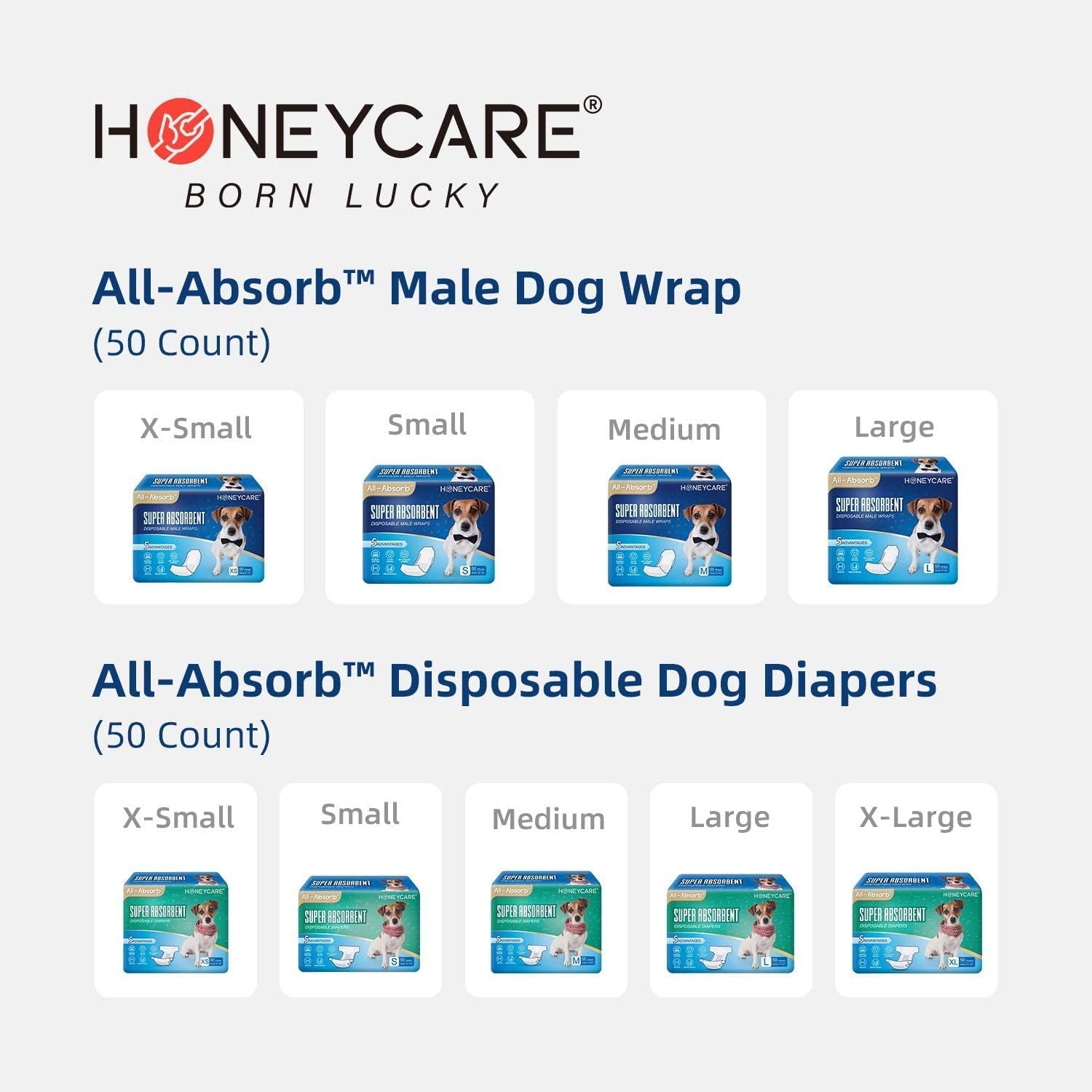 All-Absorb Puppy Training Pads | Doggie Potty Pads Absorb Eliminating Urine Odor, Ultra Charcoal Dog Pee Pad (Carbon, L 22X23 Inch, 100Ct)