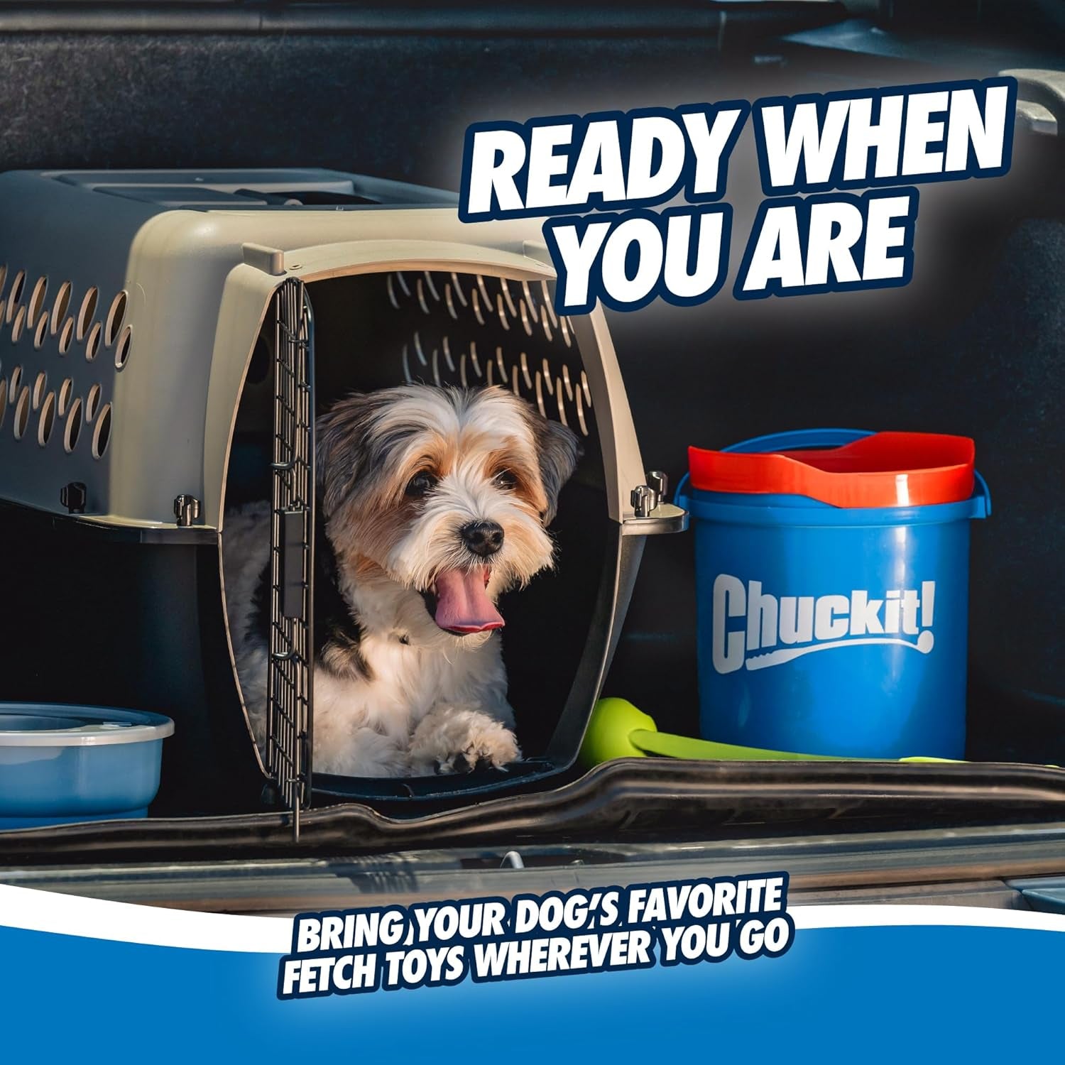 Ultra Ball Dog Toy with  Cleaning Bucket Bundle, Bouncy Fetch Pet Toys for Dogs 20-60 Lbs, Interactive Dog Toys, Durable Rubber, Size Medium, 2.5-Inch Diameter, 8-Pack of Balls