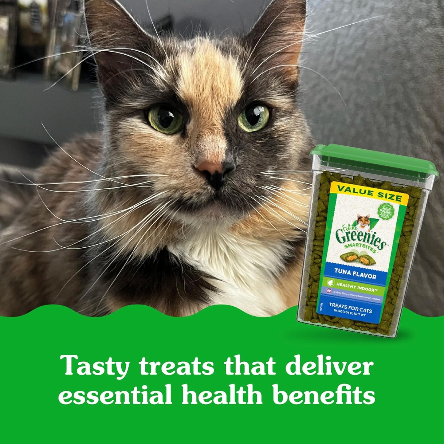 Feline Smartbites Healthy Indoor Cat Treats, Tuna Flavor, 16 Oz. Tub