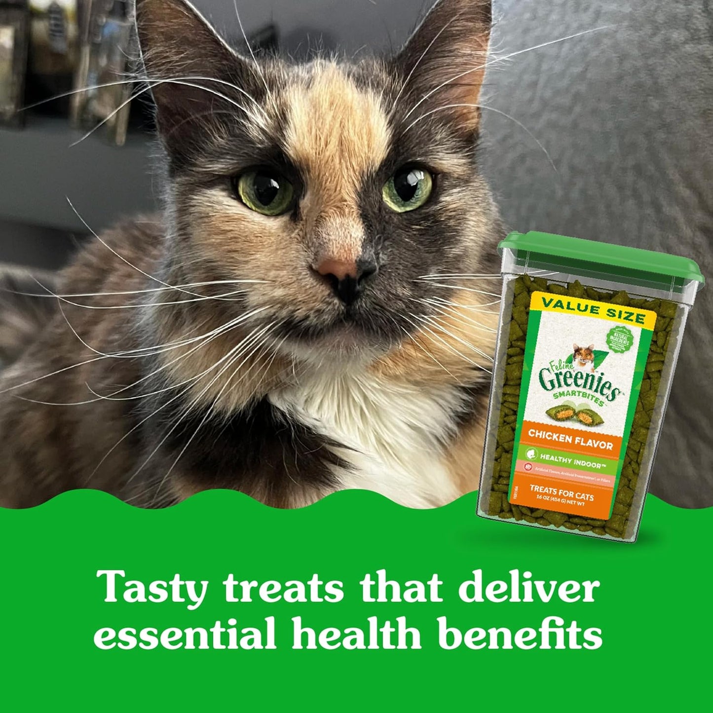 Feline Smartbites Healthy Indoor Cat Treats, Chicken Flavor, 16 Oz. Tub