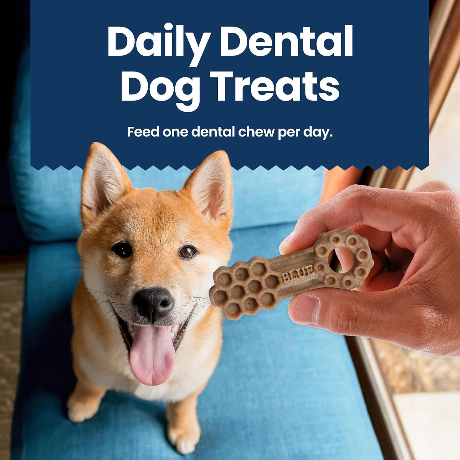 Dental Chews Small Natural Dog Treats, Chicken & Spearmint 11.3-Oz Bag (28 Count)