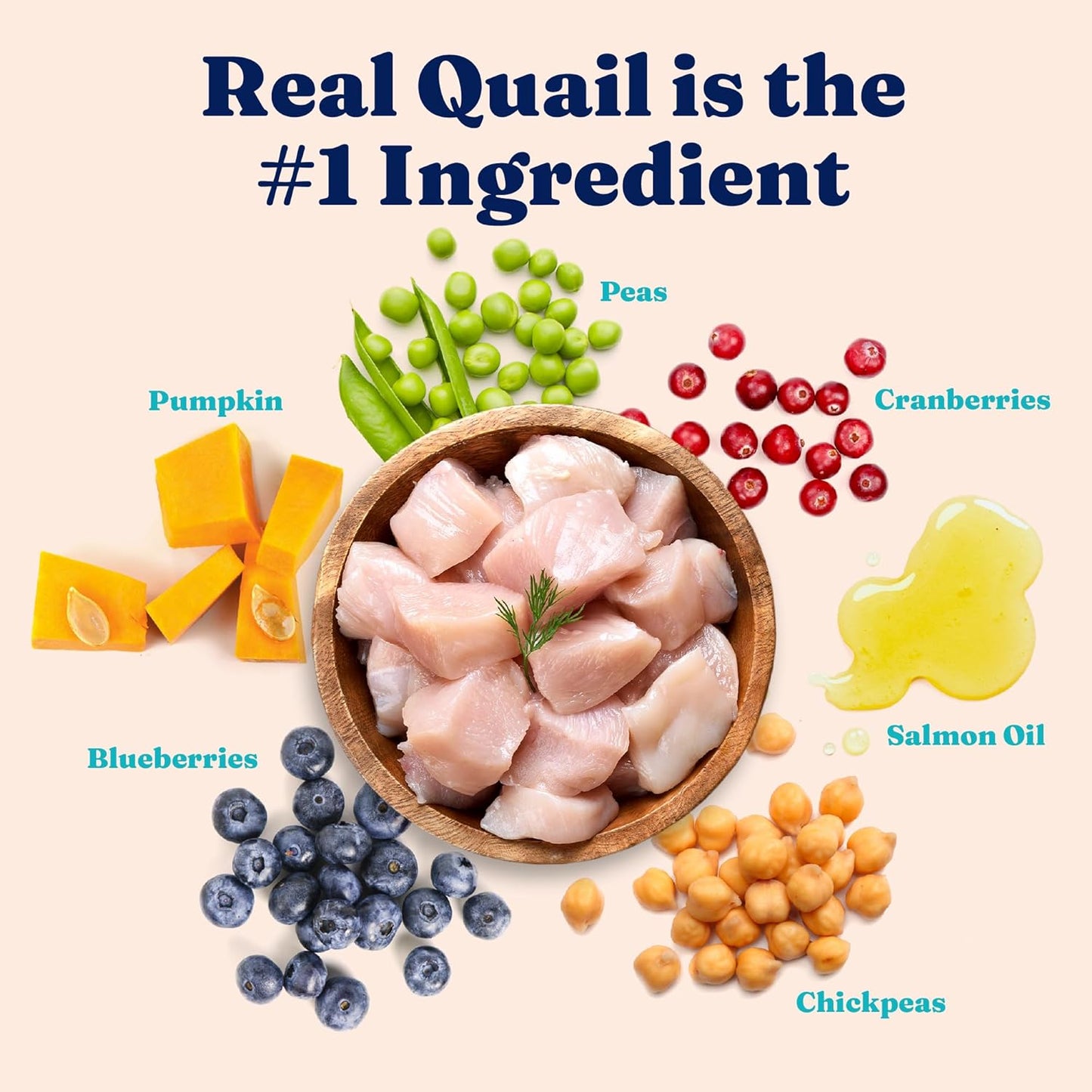 Sensitive Stomach Dry Cat Food - Grain Free & Gluten Free Sensitive Stomach Cat Food for Indoor Adult & Senior Cats - Dry Kibble for Cats W/Quail, Pumpkin & Probiotics for Gut Health - 6Lb