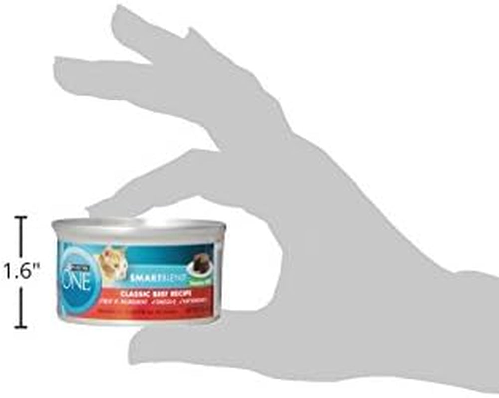 Natural, High Protein, Grain Free Wet Cat Food Pate, Beef Recipe - (Pack of 24) 3 Oz. Pull-Top Cans